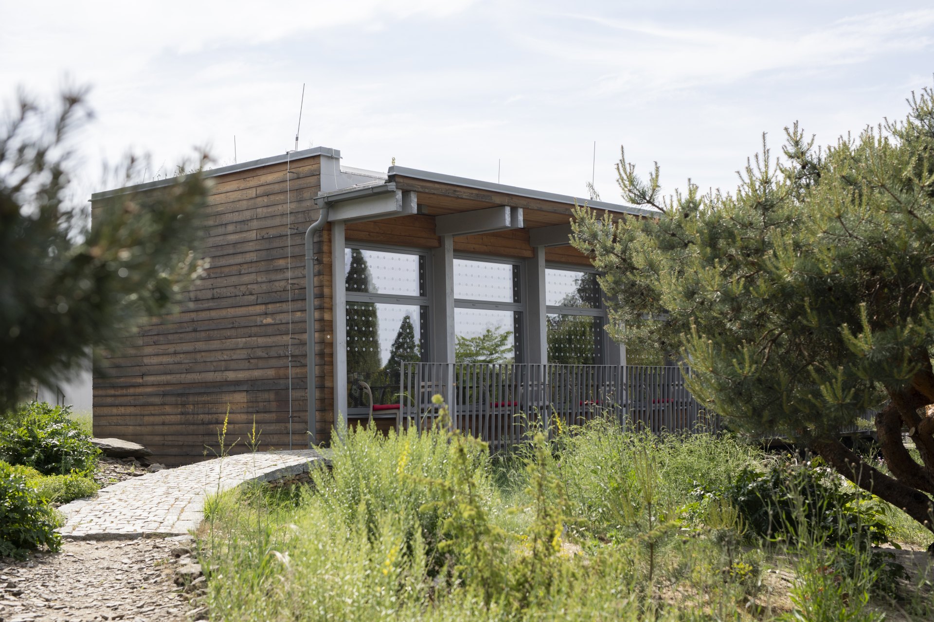 Café Ornament - Botanická zahrada Praha foto 3