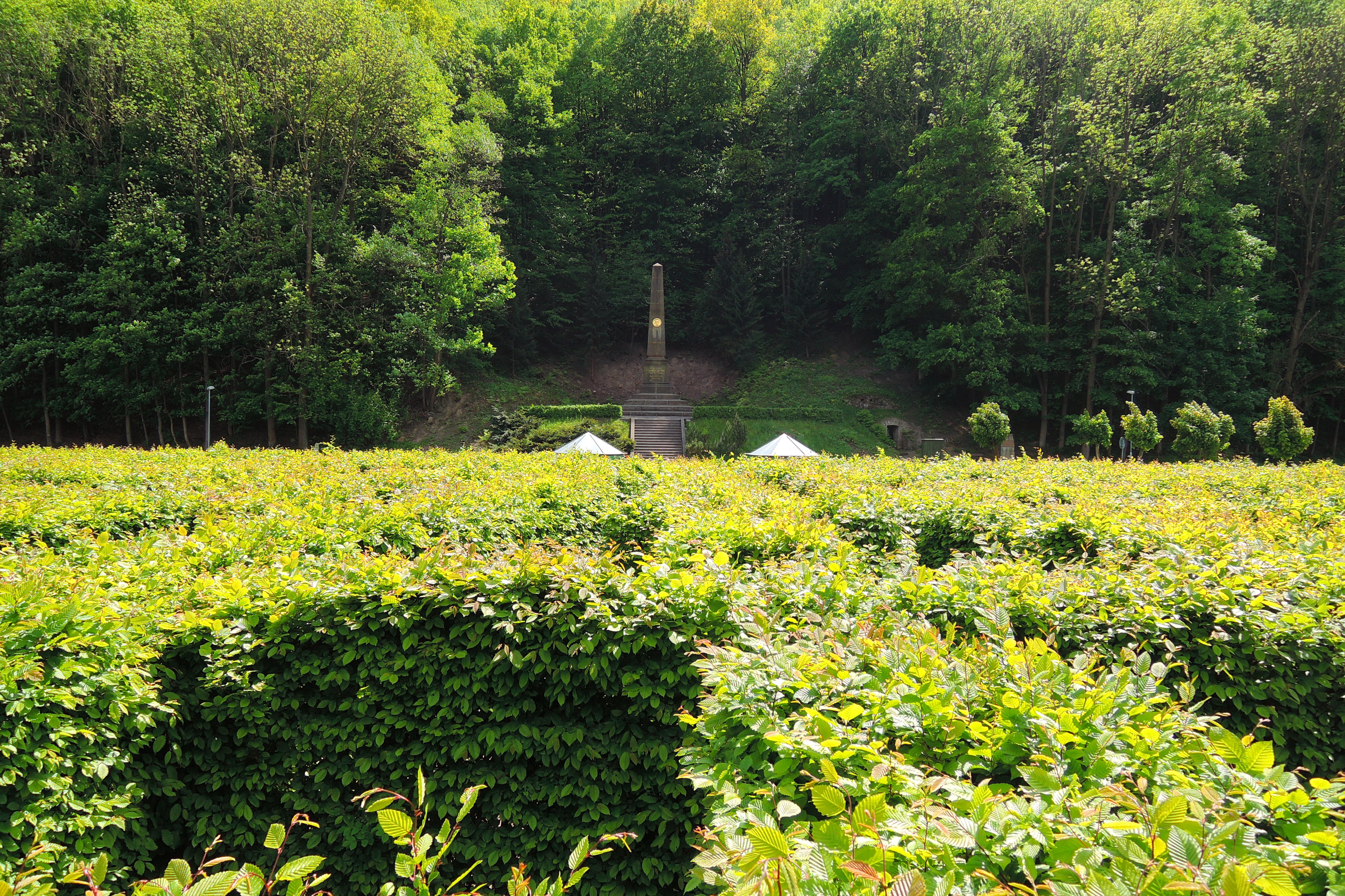 Přírodní labyrint v Klopotském údolí foto 5