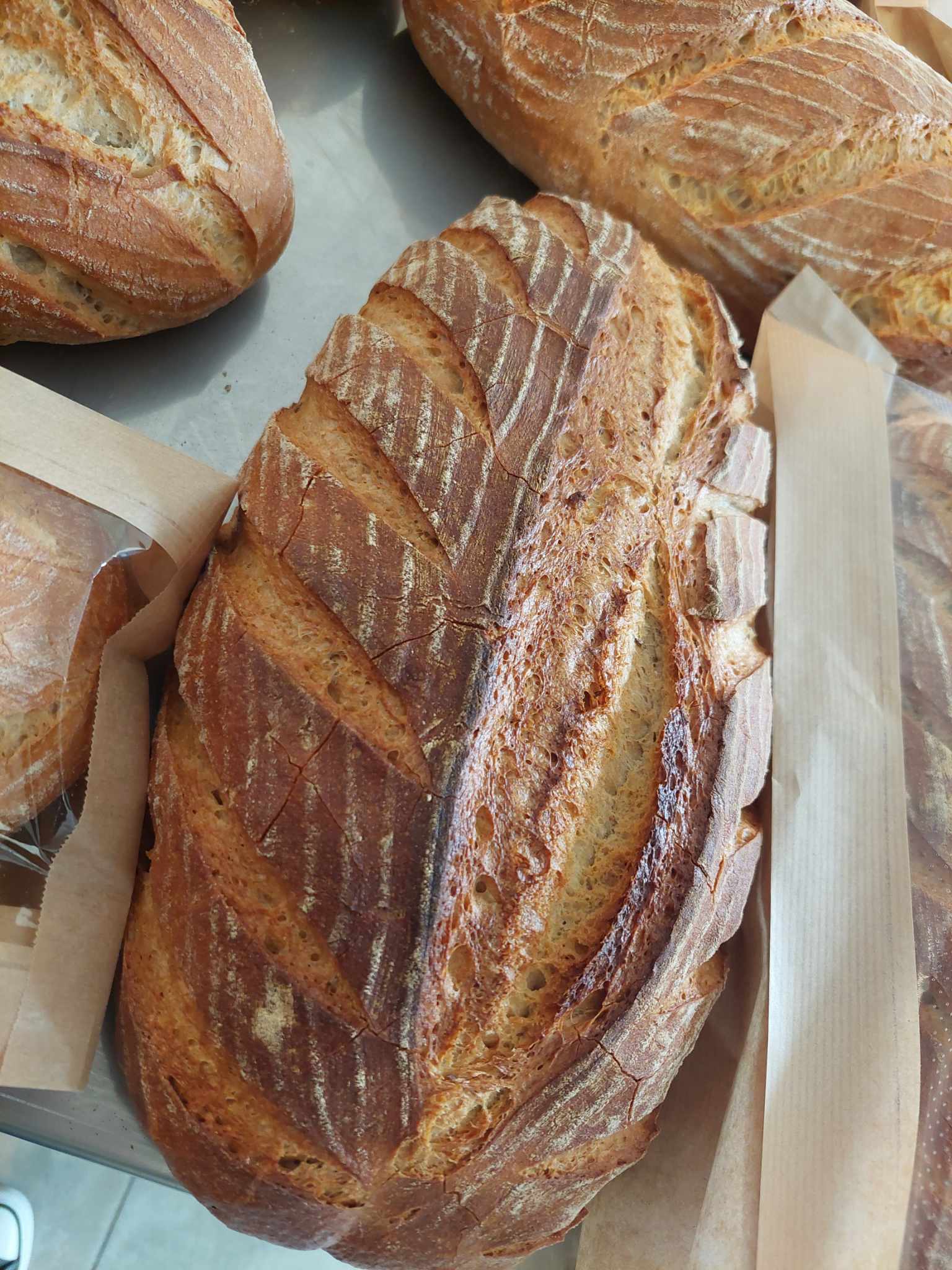 Šustovo pekařství