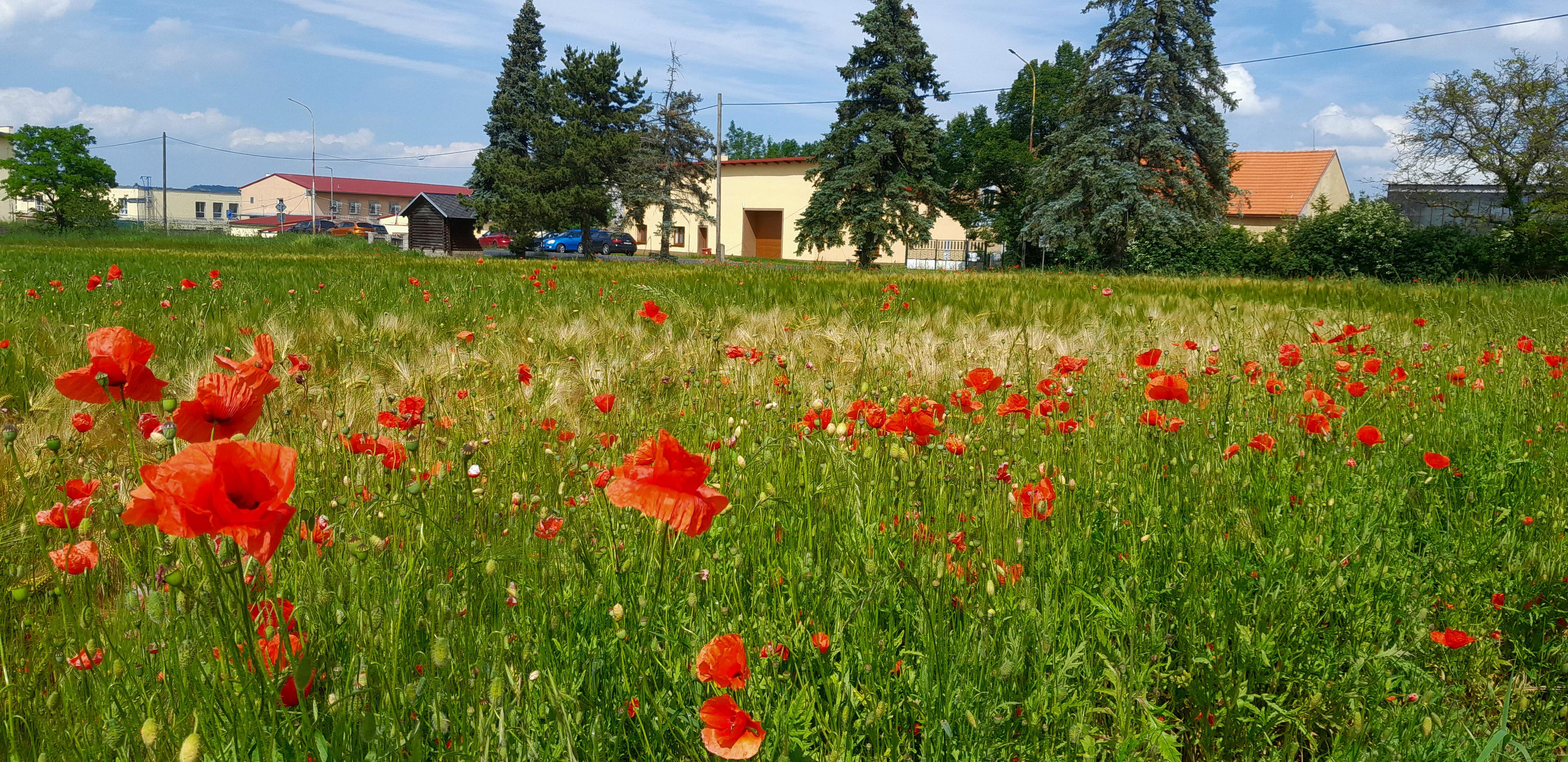 Věznice Nové Sedlo foto 1
