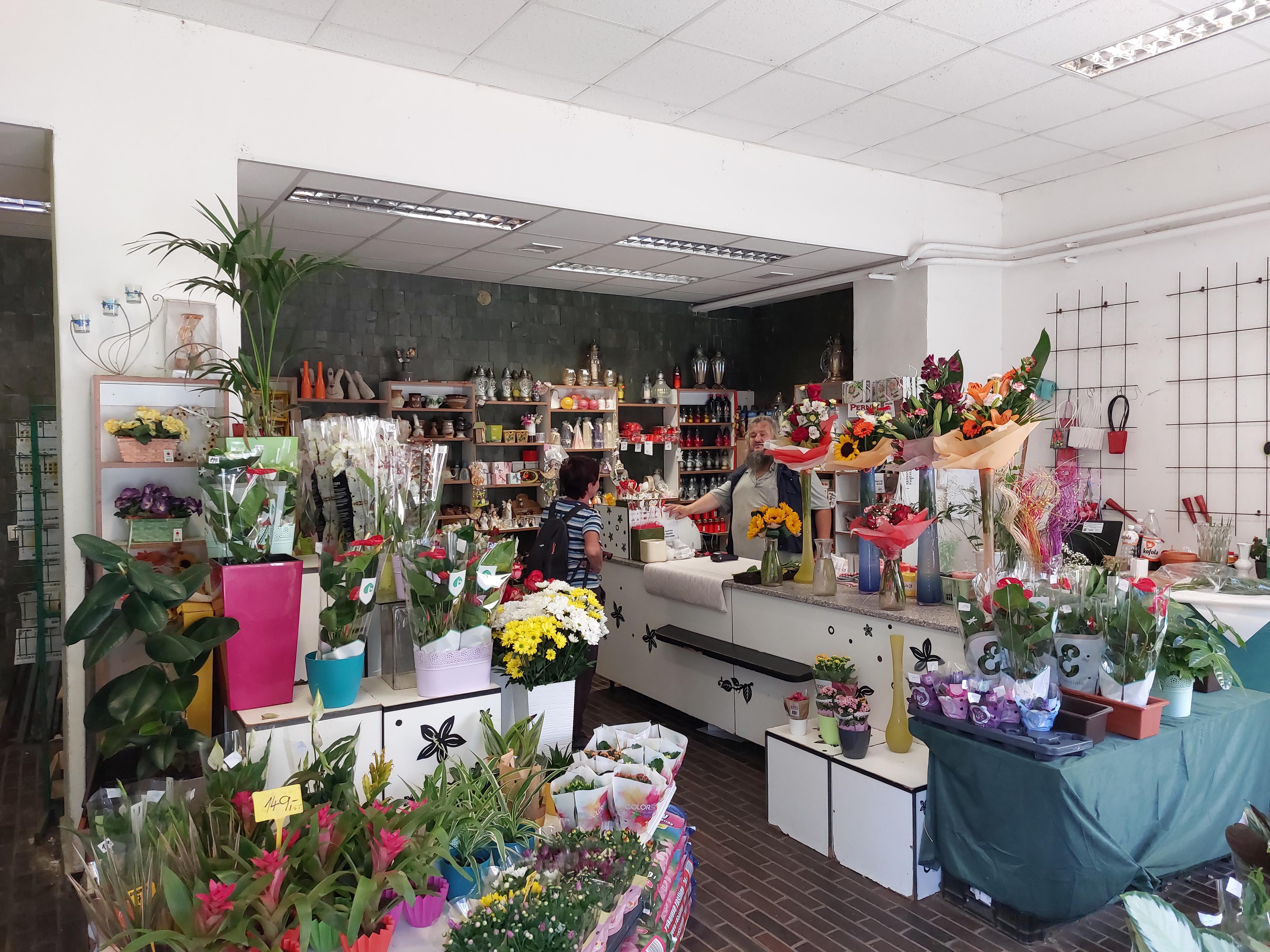 Květiny Sorela - Ing. Prášek foto 4