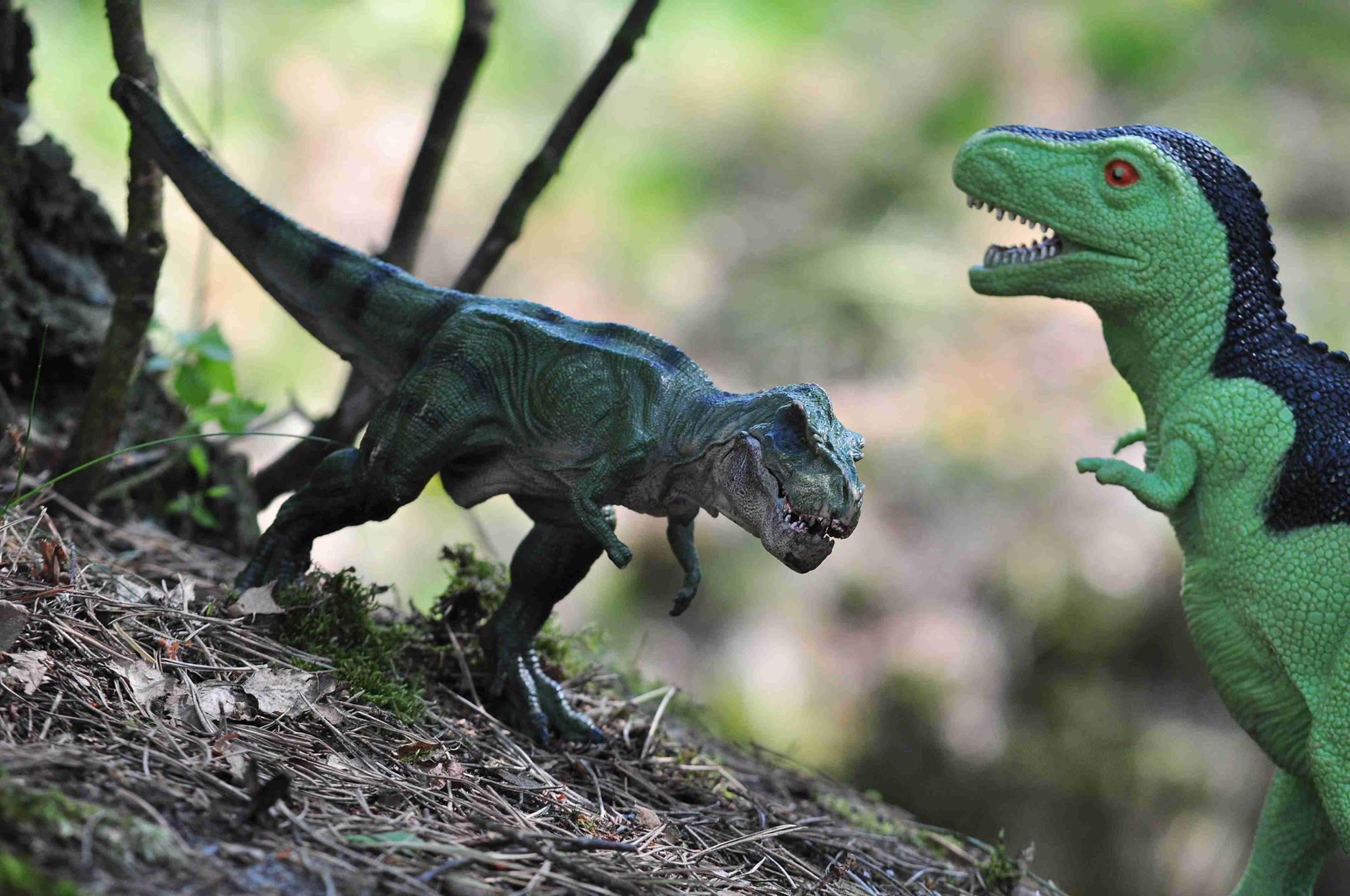 Dinopark Hostíkovice foto 3