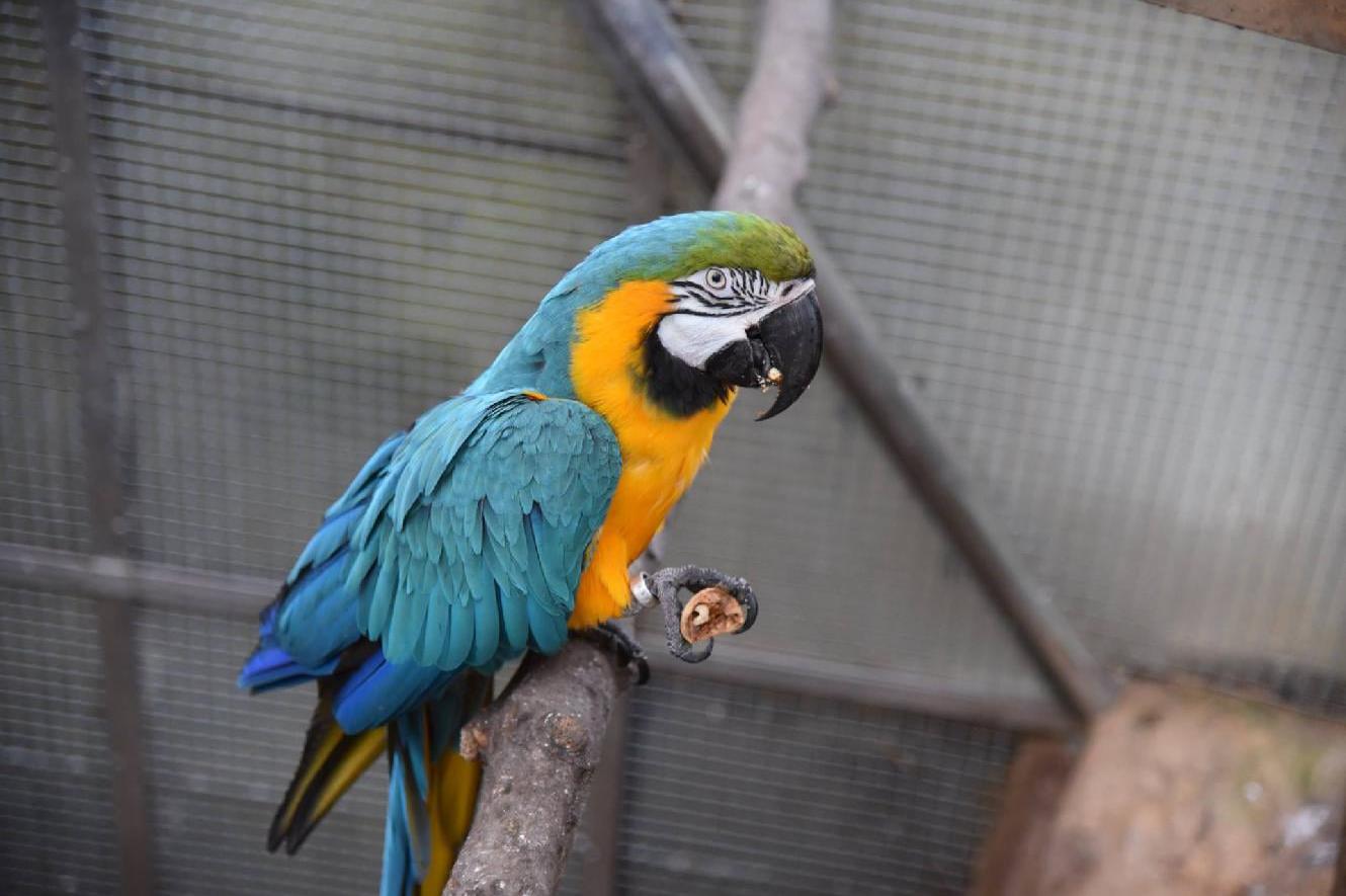 TROPIC HUKVALDY - Stanislav Rek