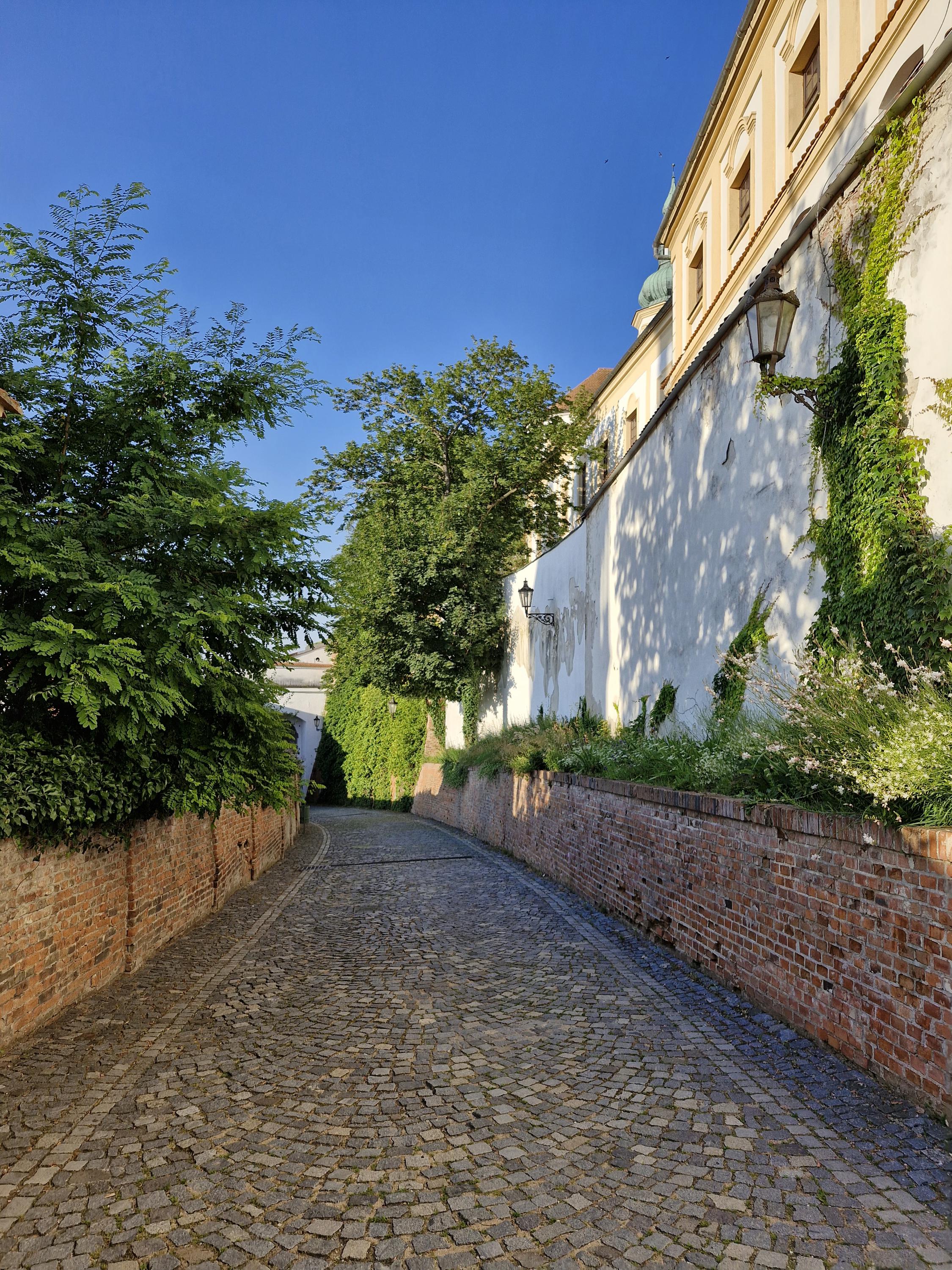 Regionální muzeum v Mikulově foto 3