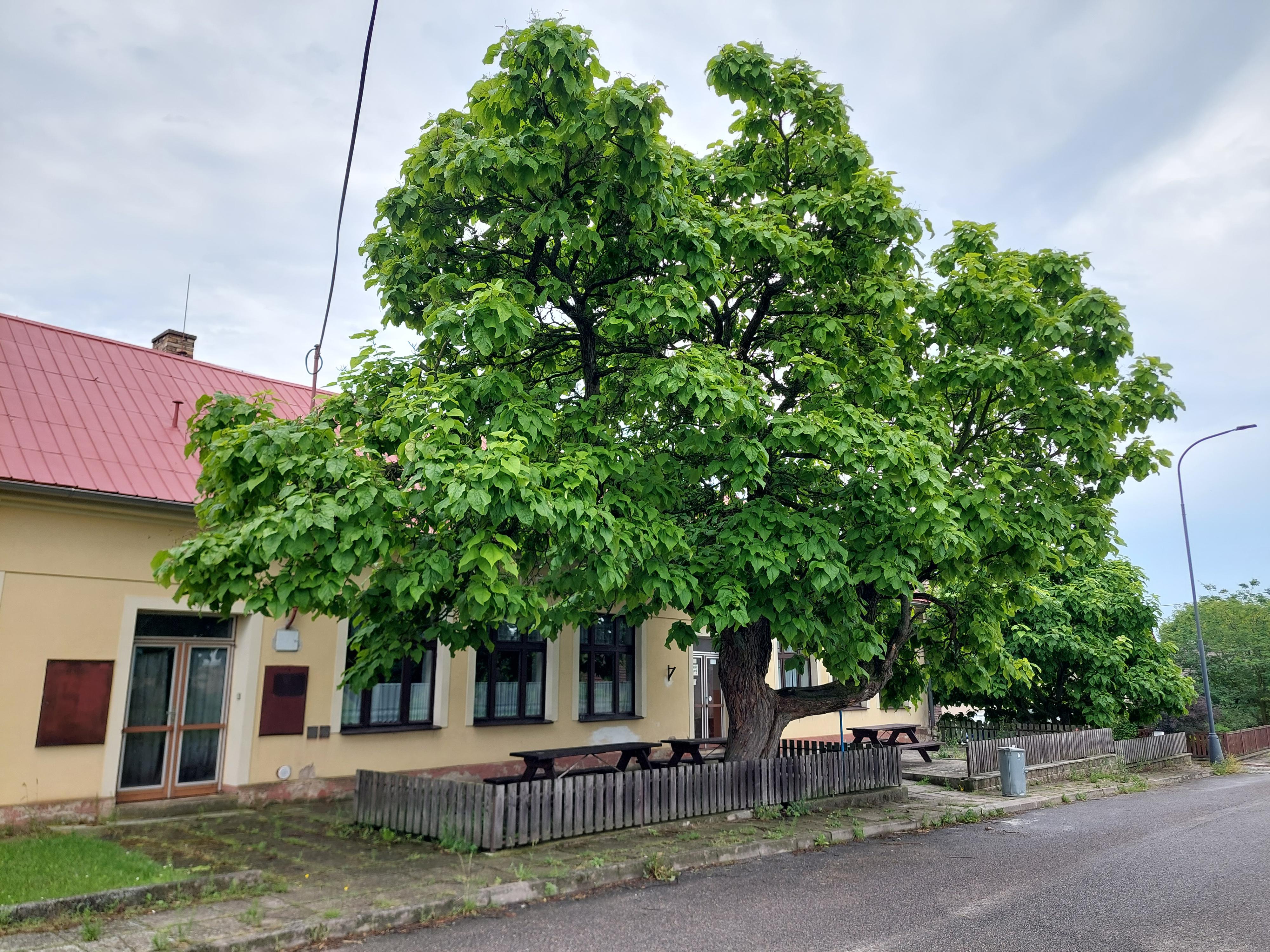 Tělocvičná jednota Sokol Skršice - Tošov
