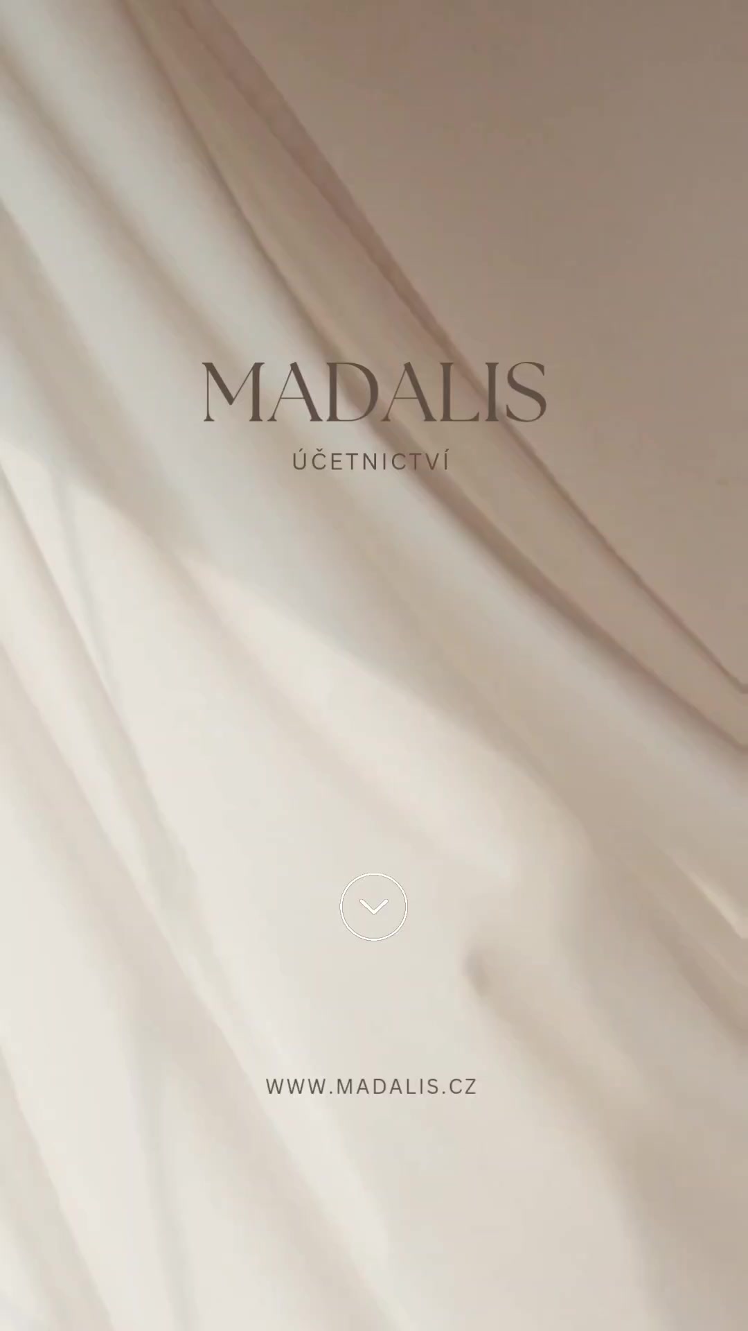 MADALIS účetnictví foto 2 (náhled videa)