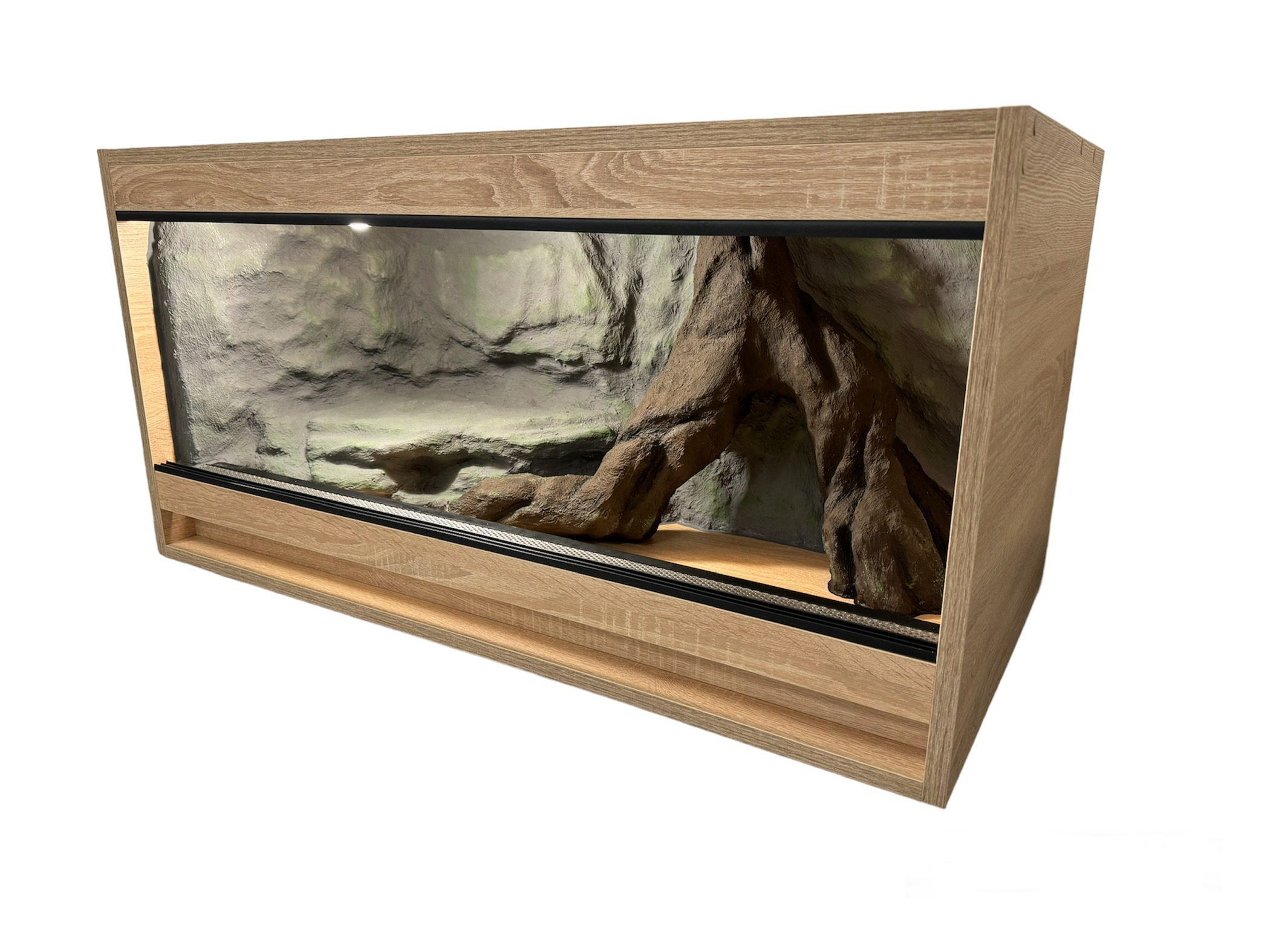 bb-terarium foto 4