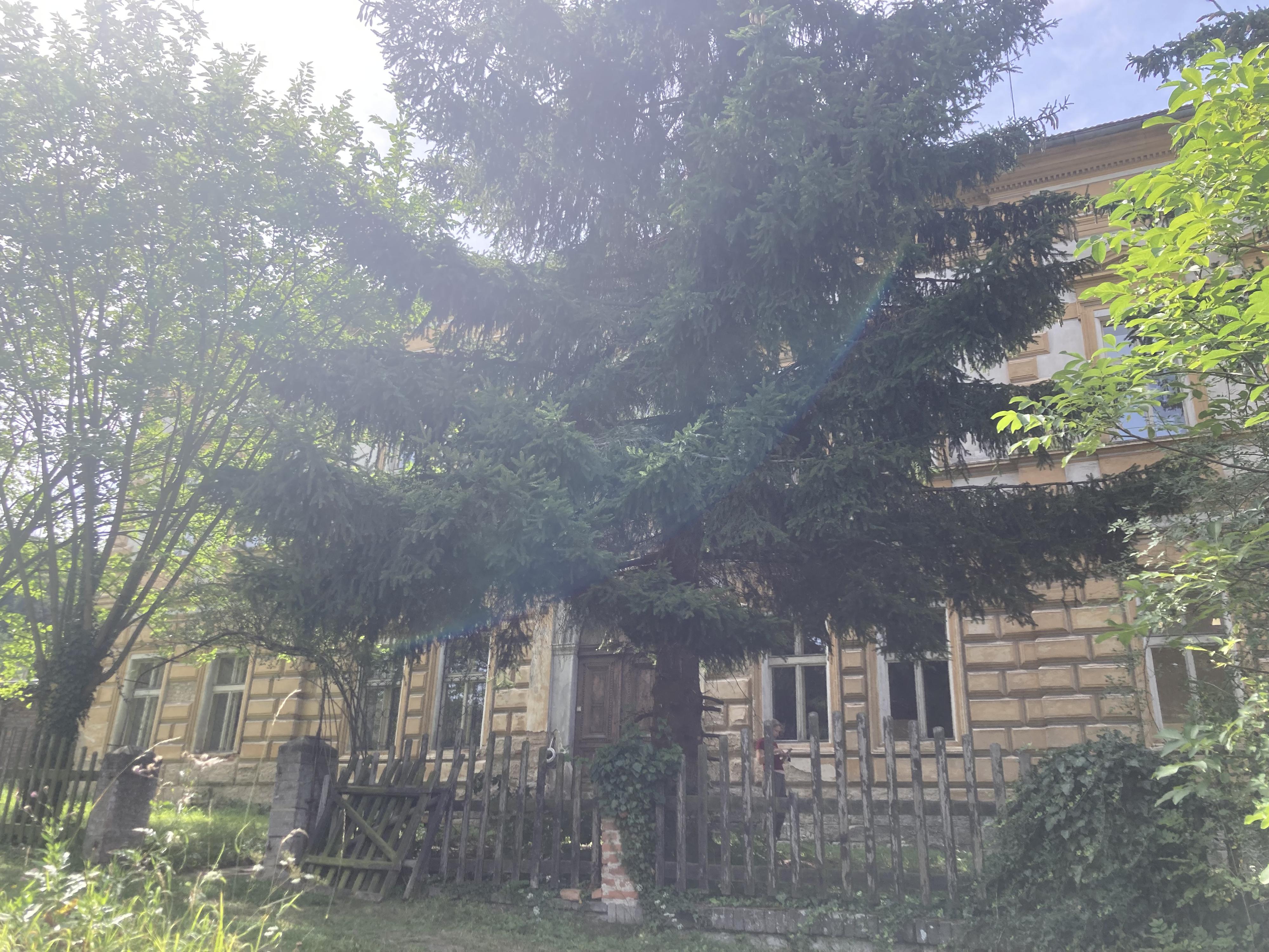 ZŠ a MŠ Montessori Slaný foto 4