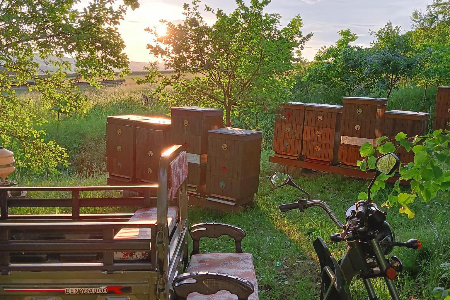 Truhlářství Petr Pavlíček