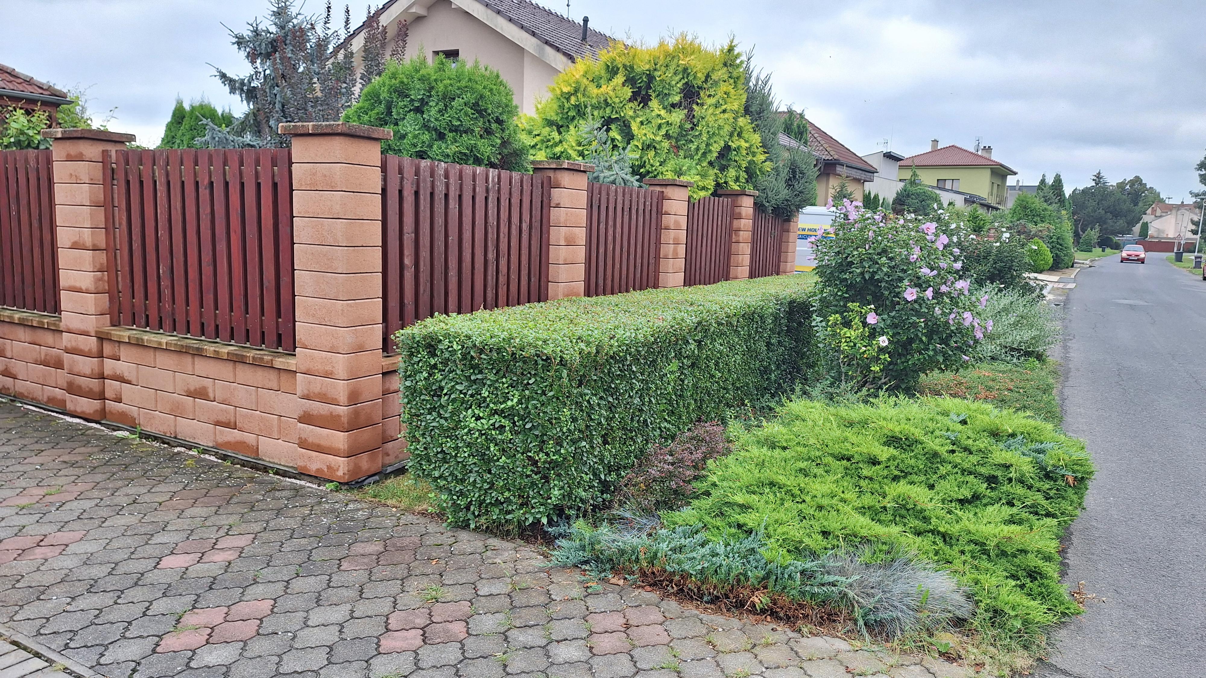 Masáže Fénix foto 3