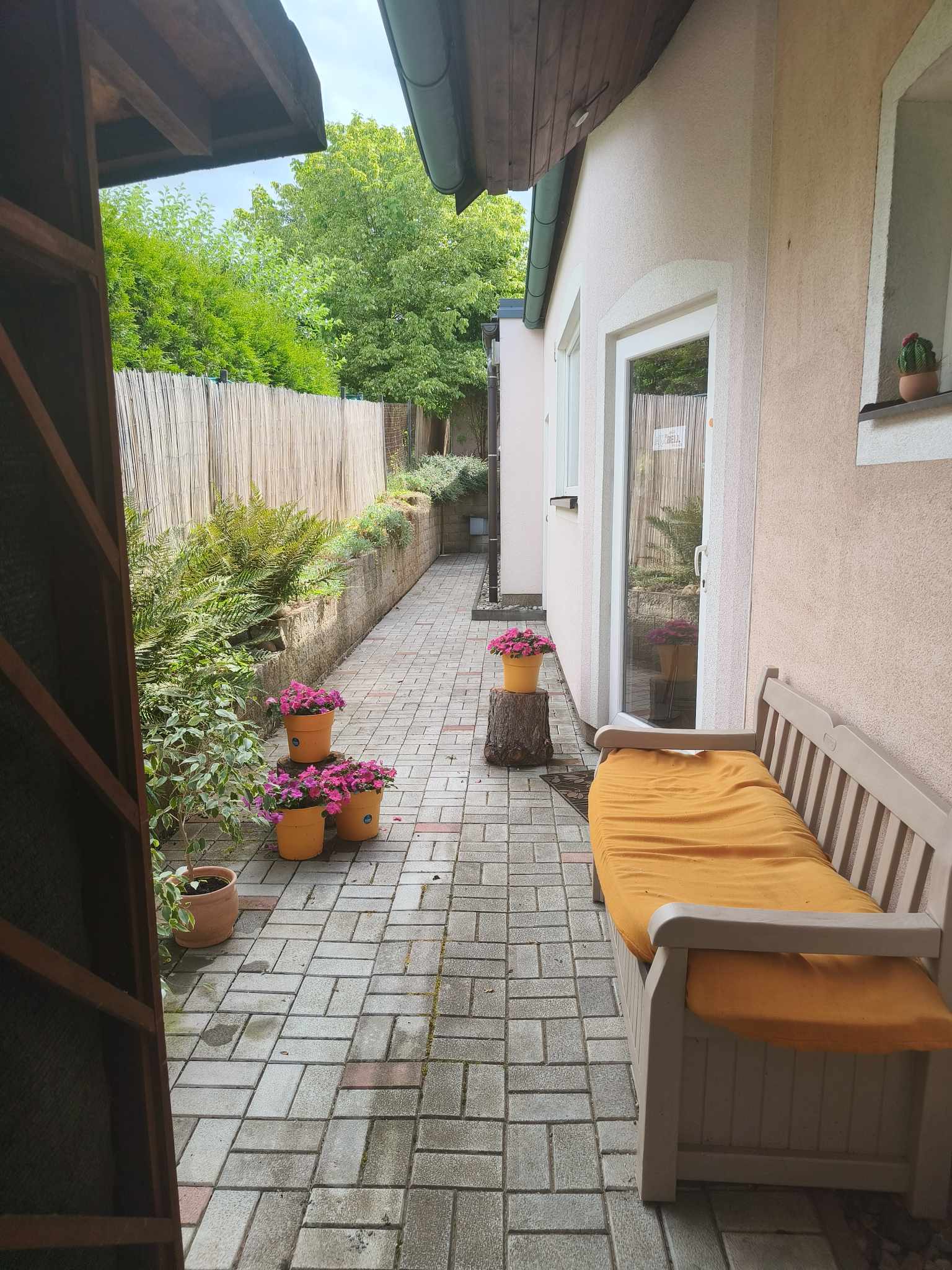 AXABELL foto 4