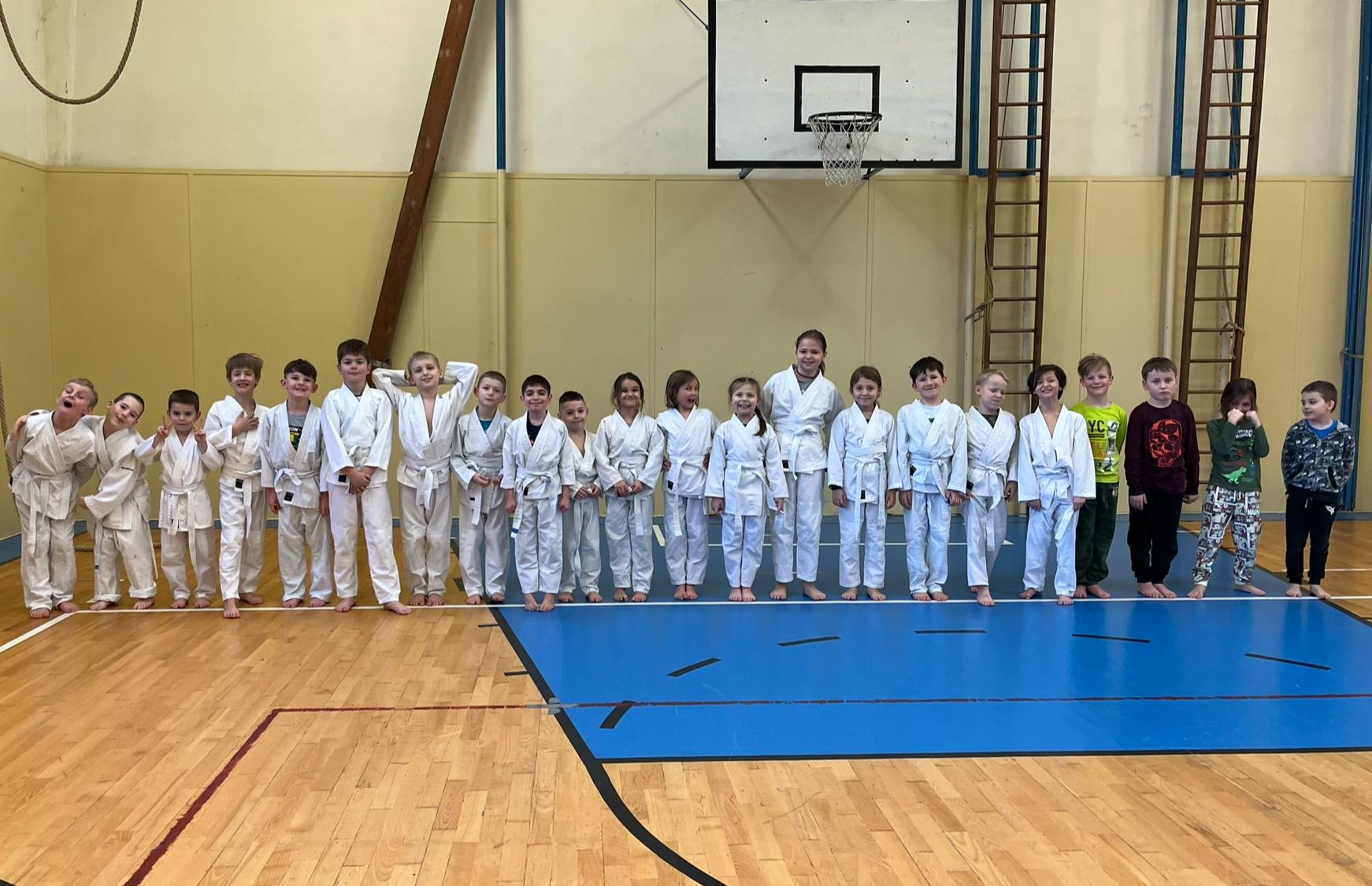 Judo Best Motion foto 6