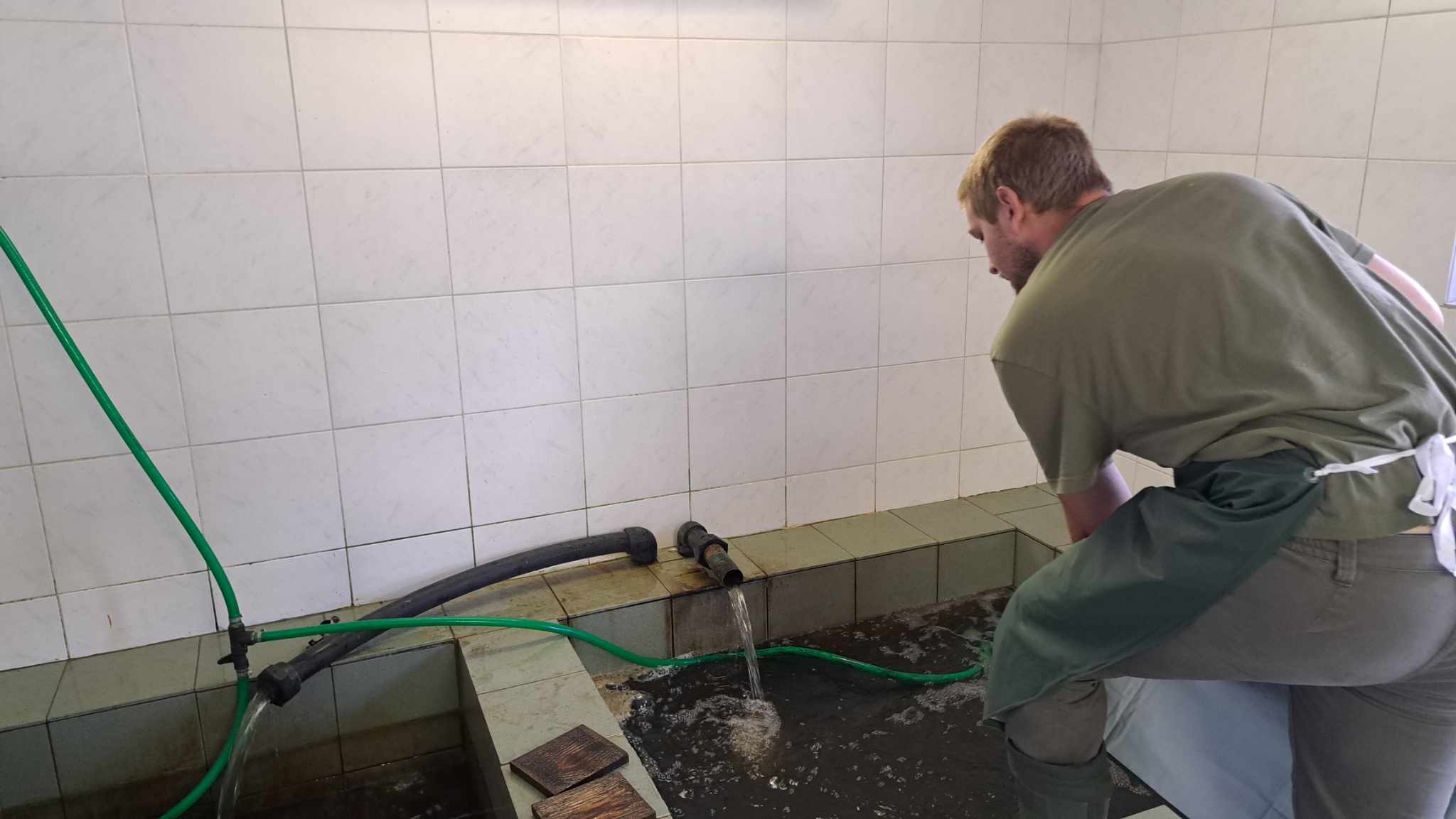 Michal Nechvátal - Prodej ryb foto 3