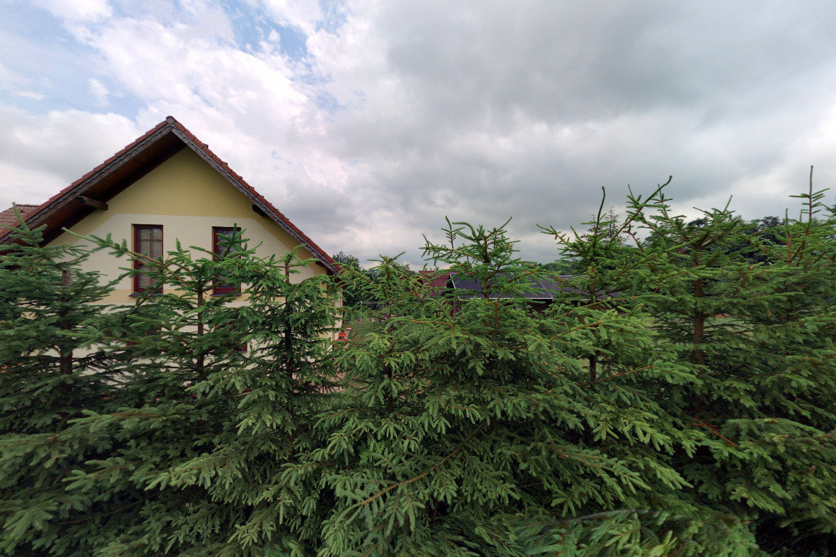 Chirosd-shop.cz foto 2