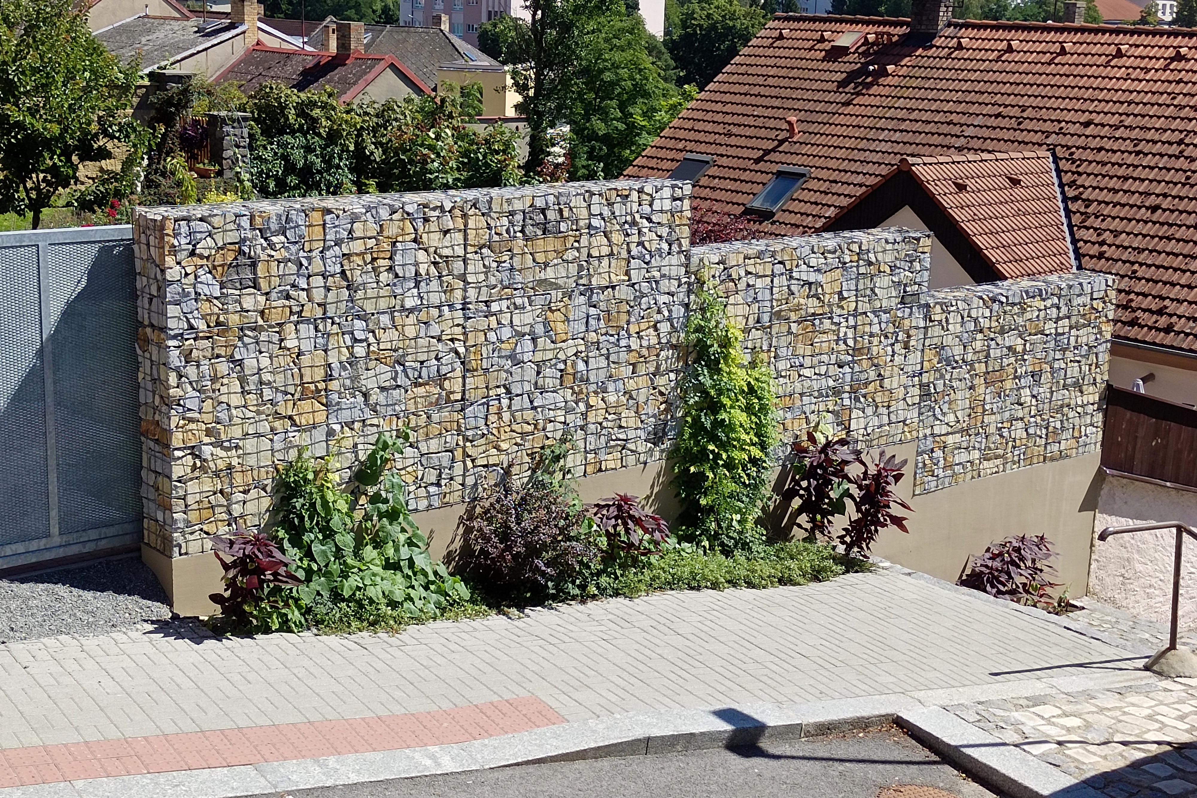 Aleš Kössl