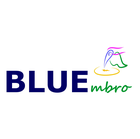 Květinový košíček Gerbera Kopretina červená žlutá v obchodě BLUEmbro