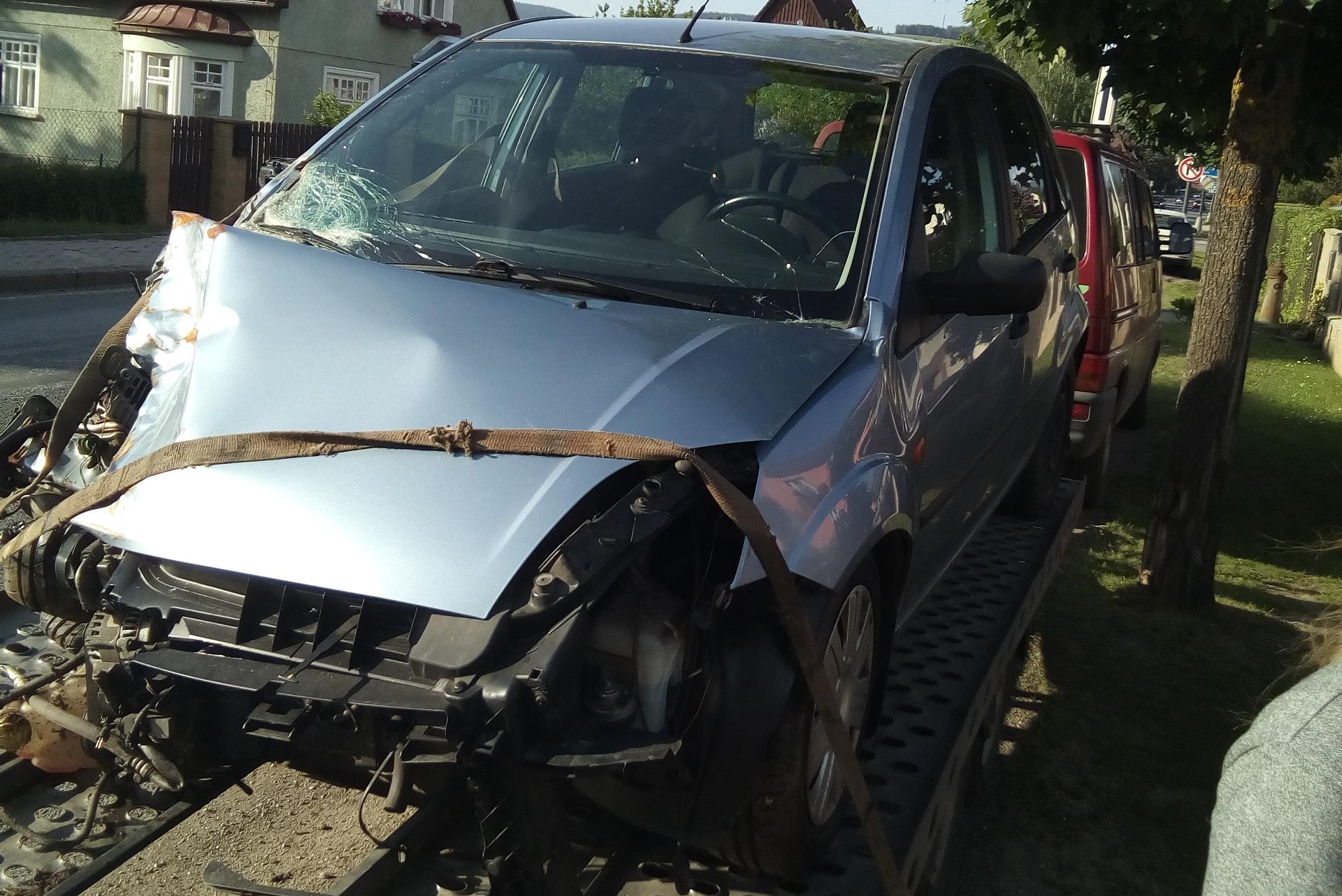 Ocelot Žacléř - Ing.Vladimír Matějka