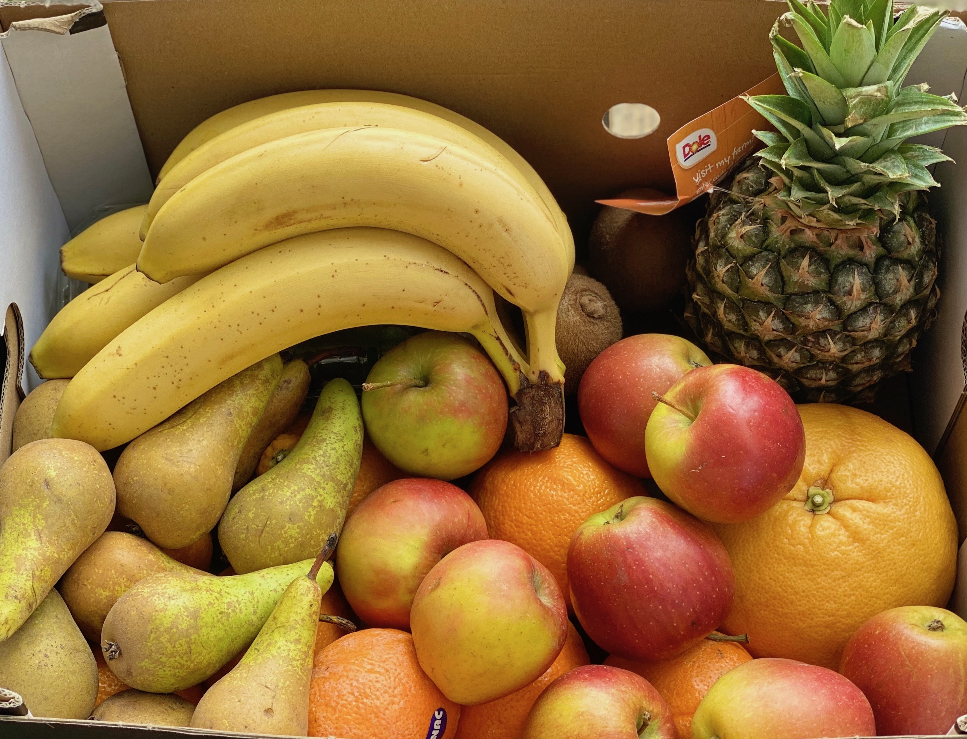 Zelenina-drinks foto 3