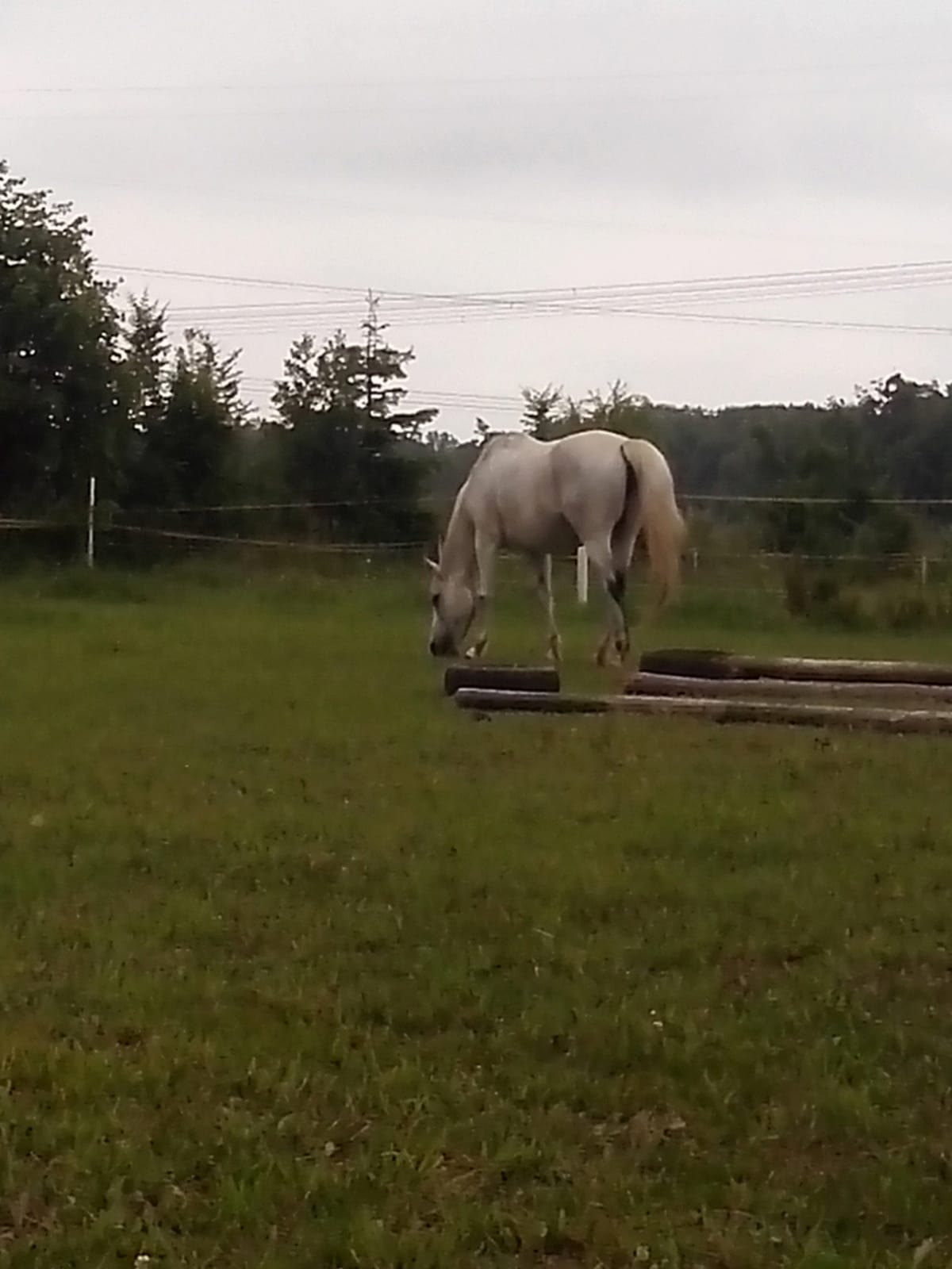 Sportovní klub Skalický dvůr foto 3