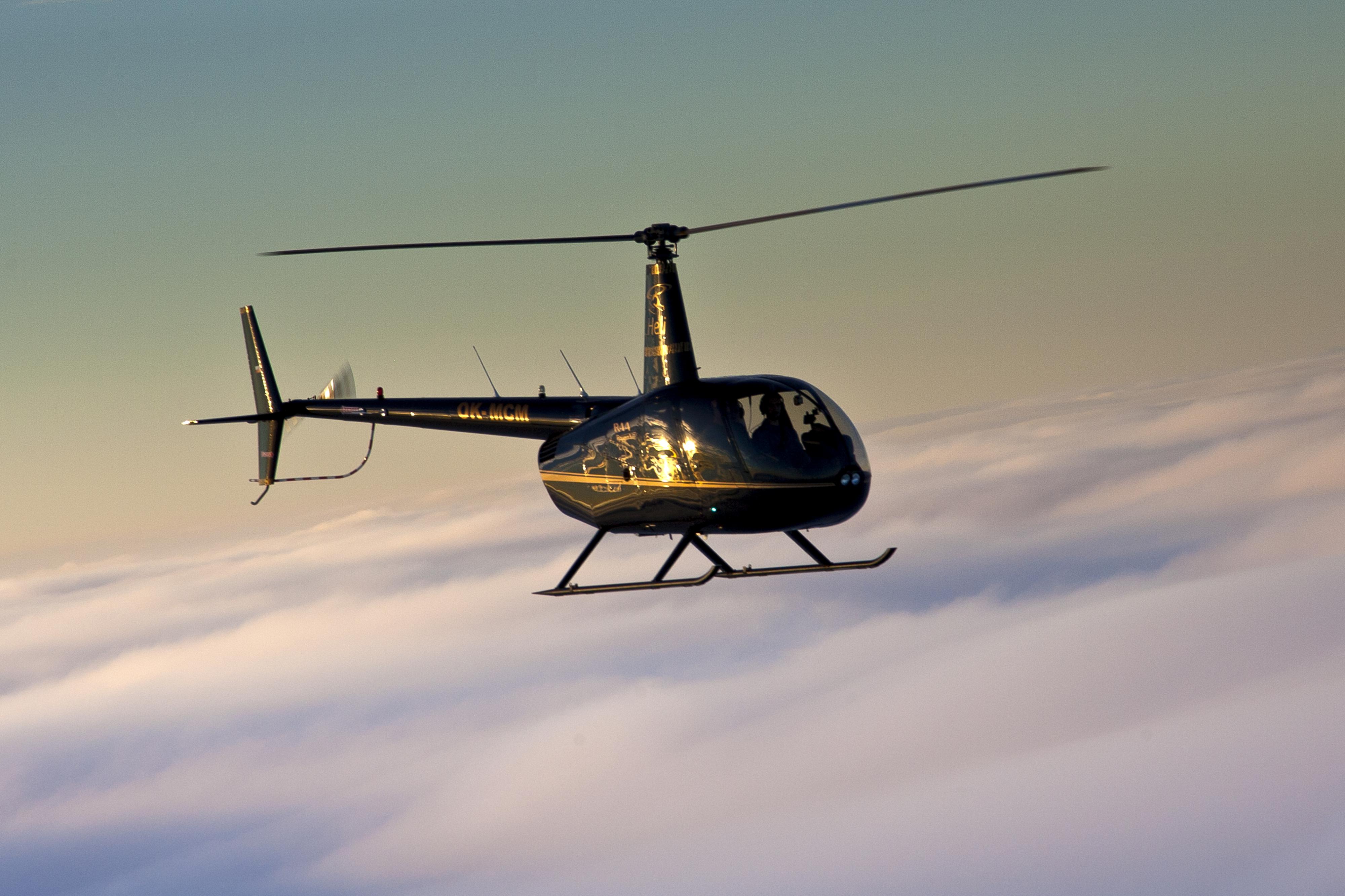 FOR FREE DAYS foto 5