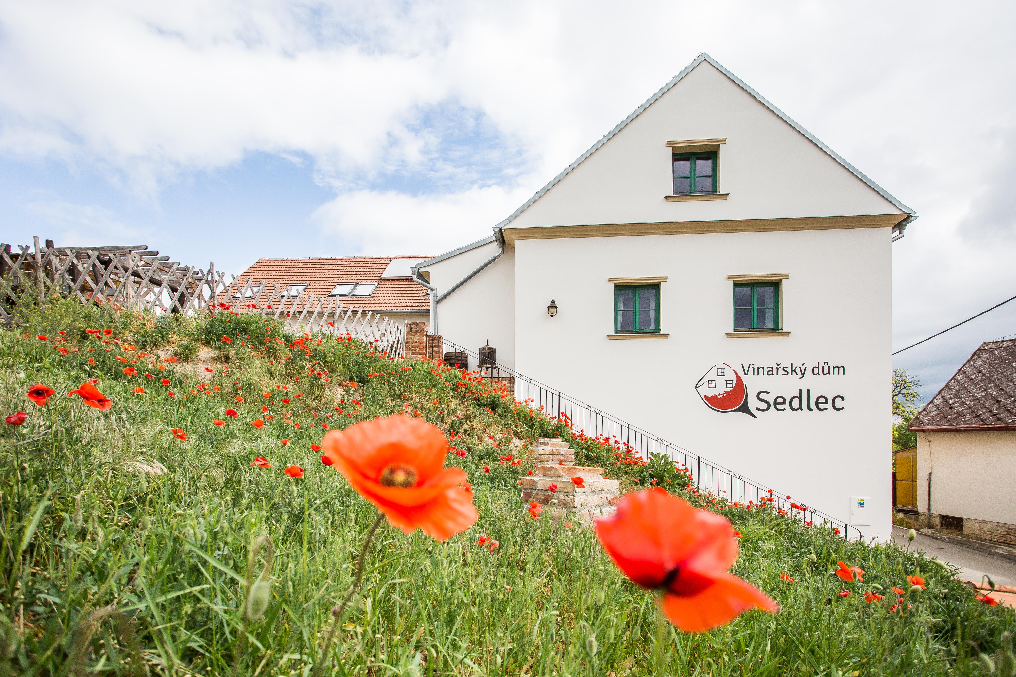 Vinařský dům Sedlec foto 5
