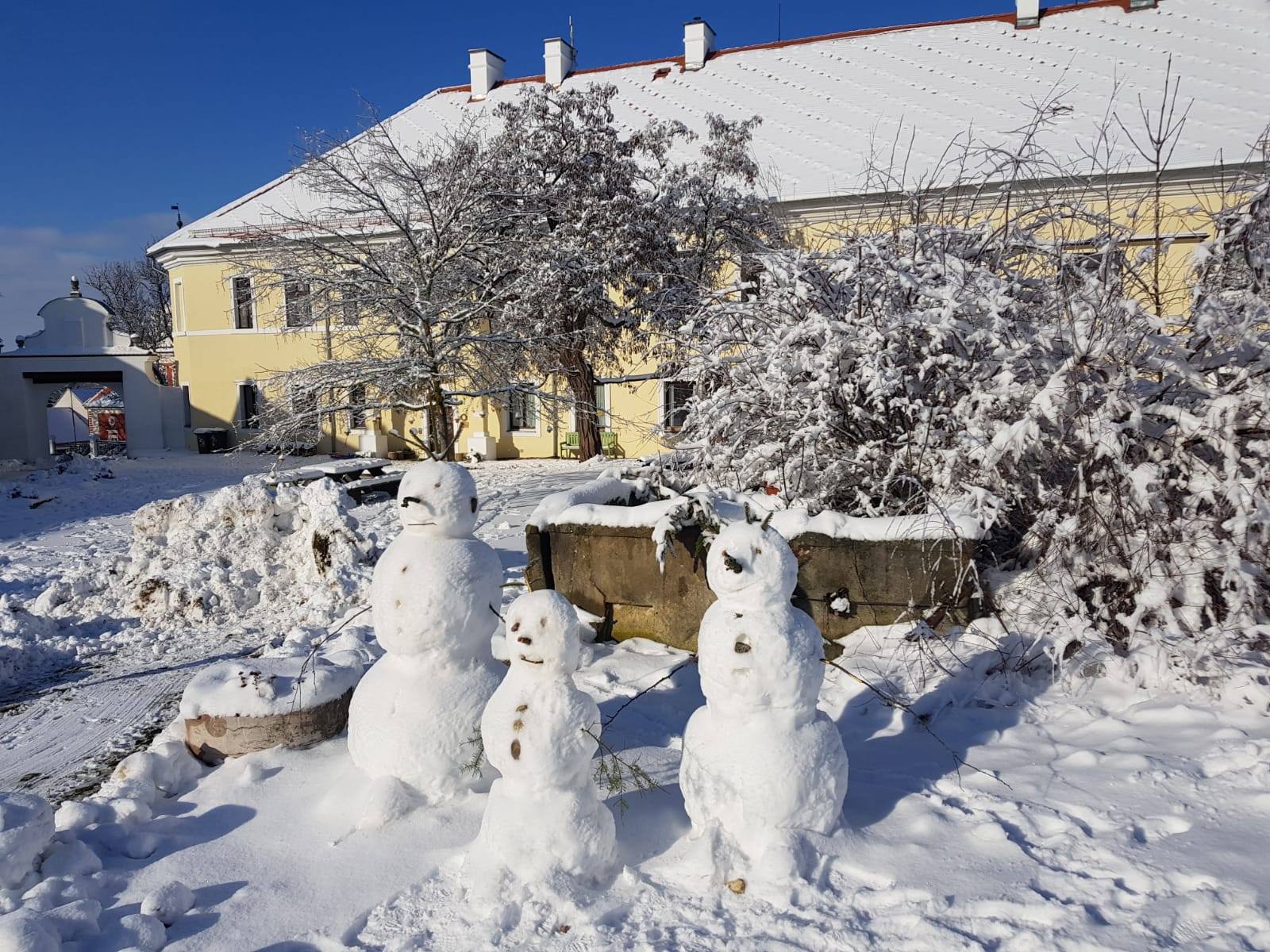 ZŠ Purkrabka foto 5