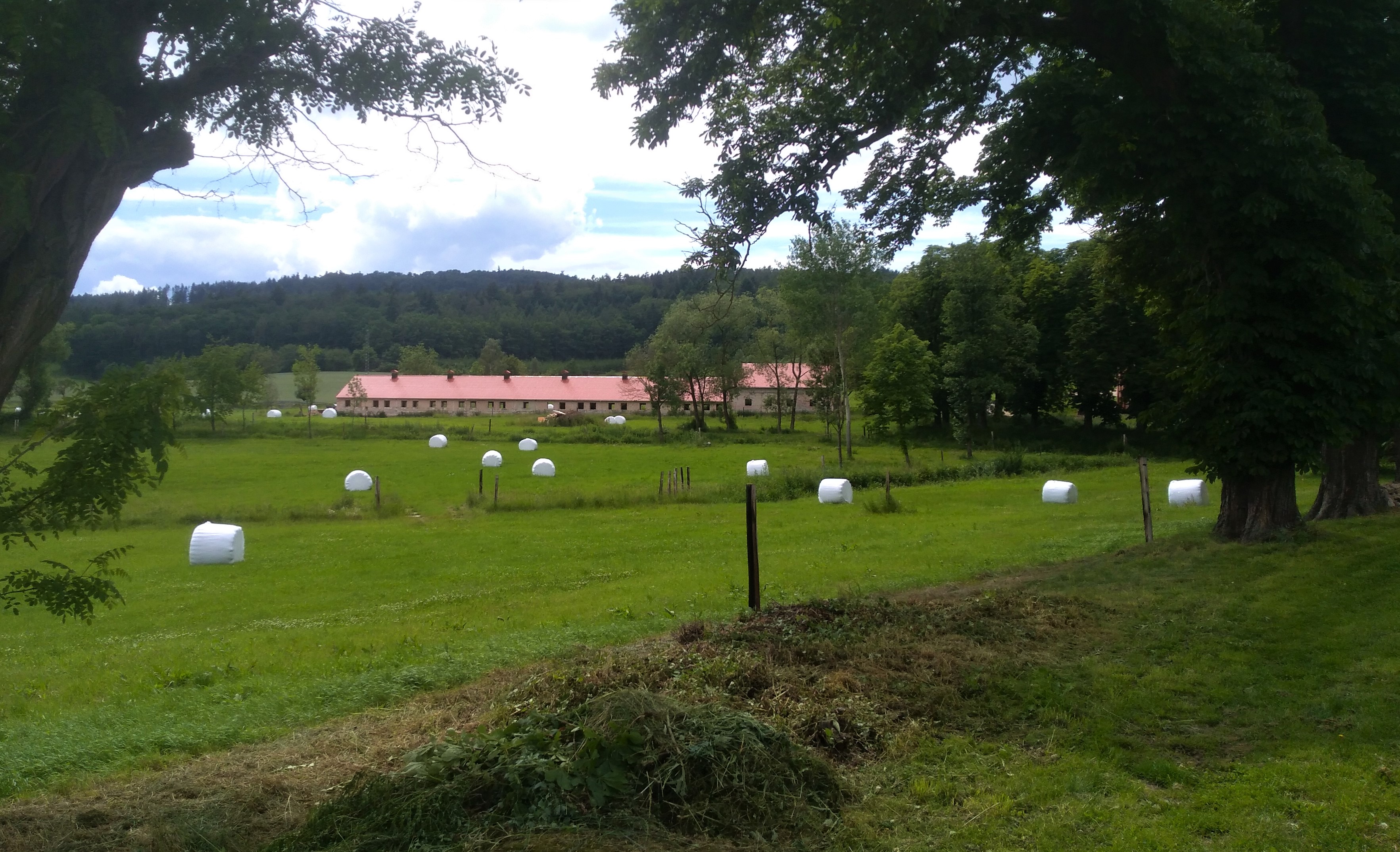 Muzeum obilnářství Skočice foto 4