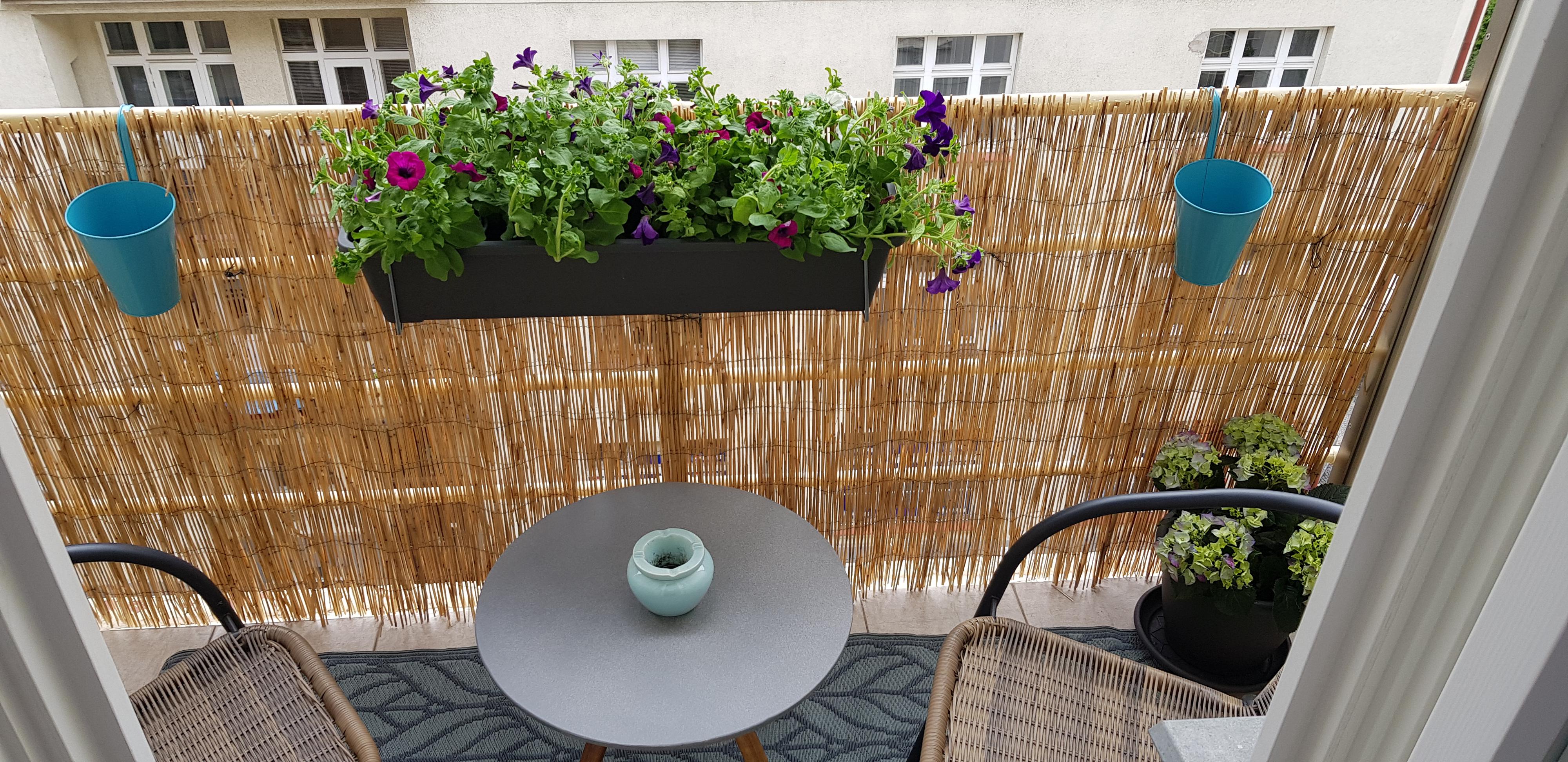 Psychotesty pro řidiče - DRIVEA - Mgr. Petra Korbová foto 4