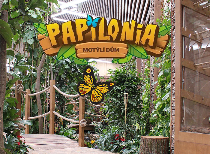 Papilonia – motýlí dům Brno foto 2