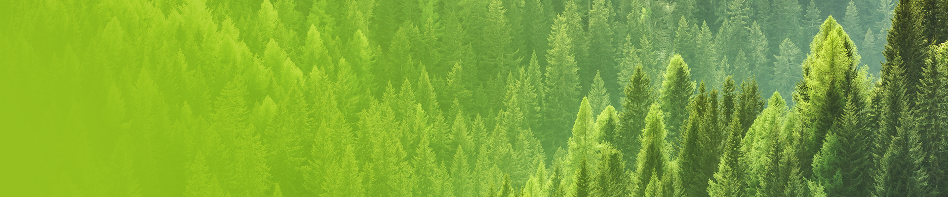 Úvodní obrázek Simply Invest, rodinné domy, s.r.o.