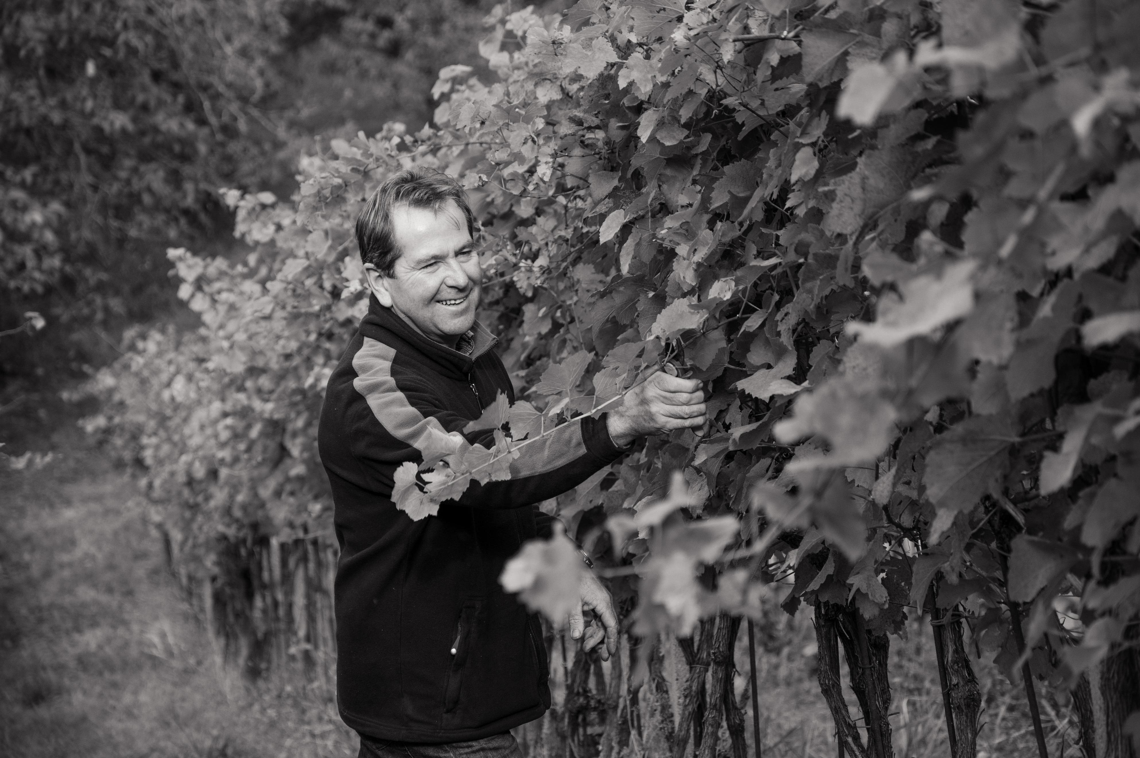 Sedláček vinařství Kurdějov