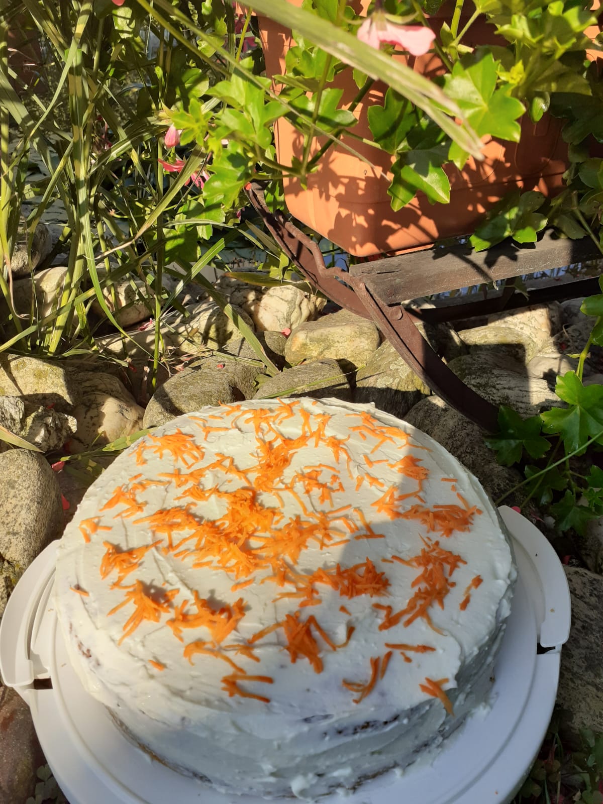 Hospůdka na Sokoláku foto 2