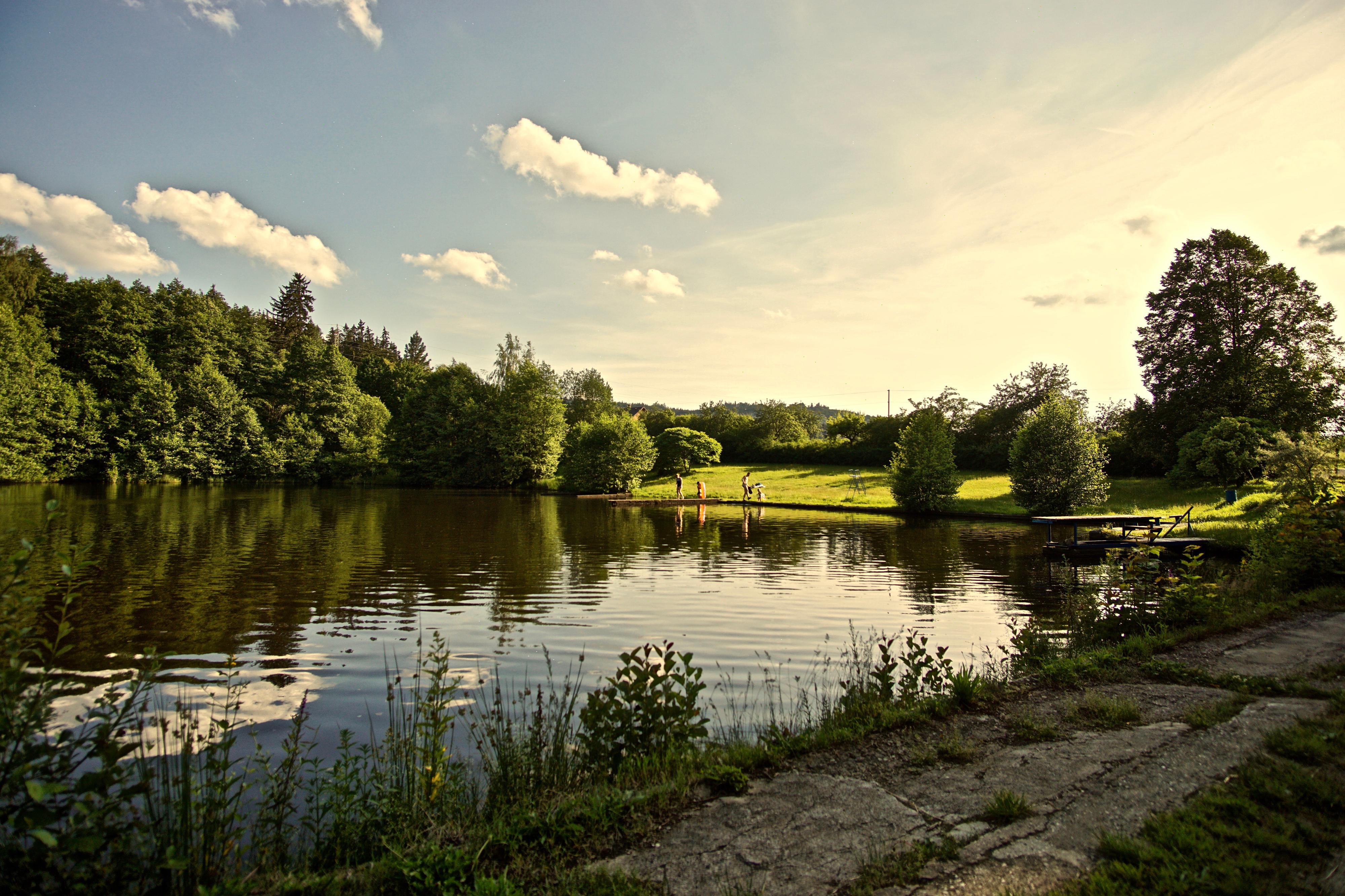 Občerstvení Přírodní koupaliště Medový Újezd foto 4