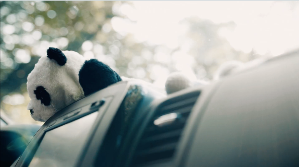 PANDA ride