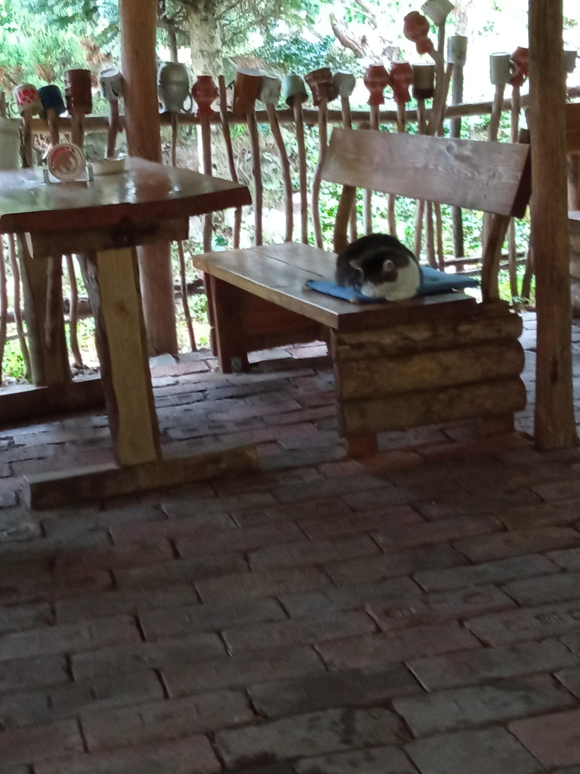 Oáza klidu na konci světa foto 6