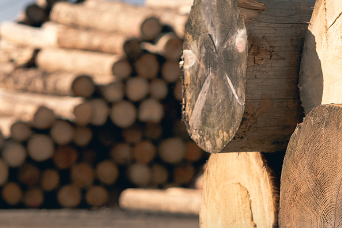 BIOMAC s.r.o. foto 2