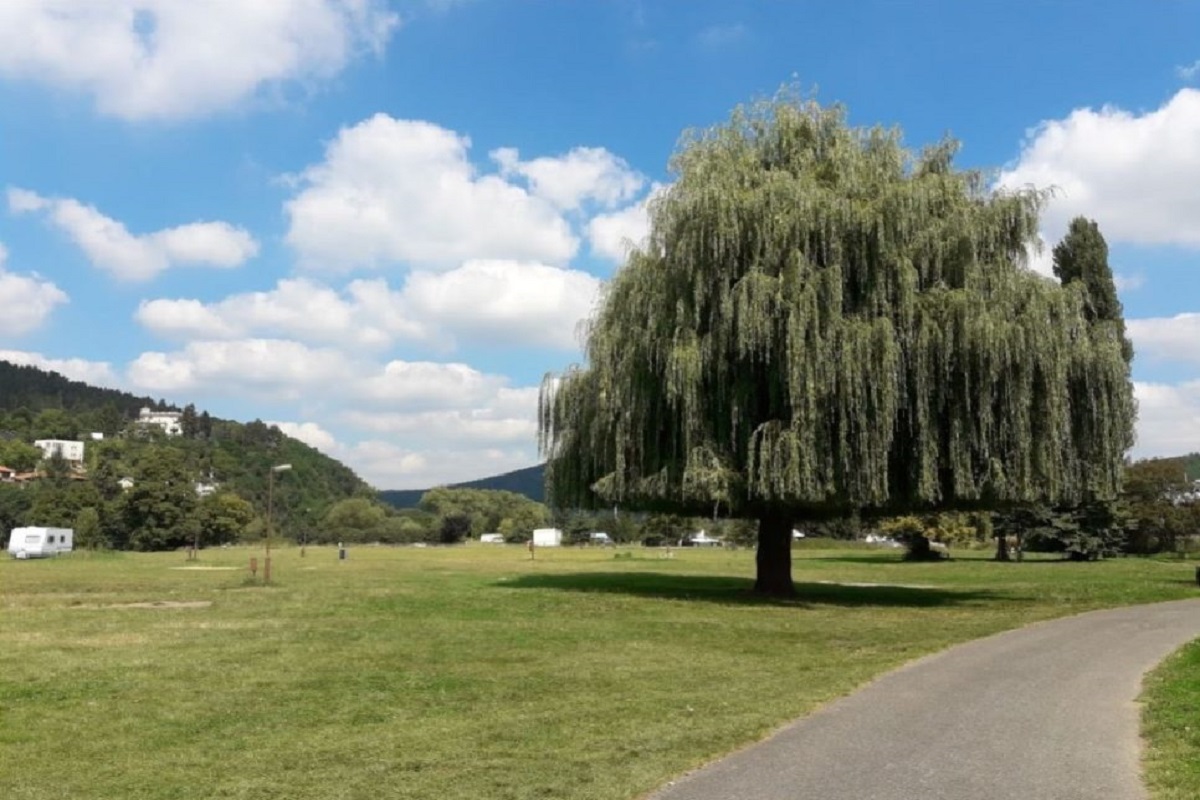 Autocamp Beroun Na Hrázi