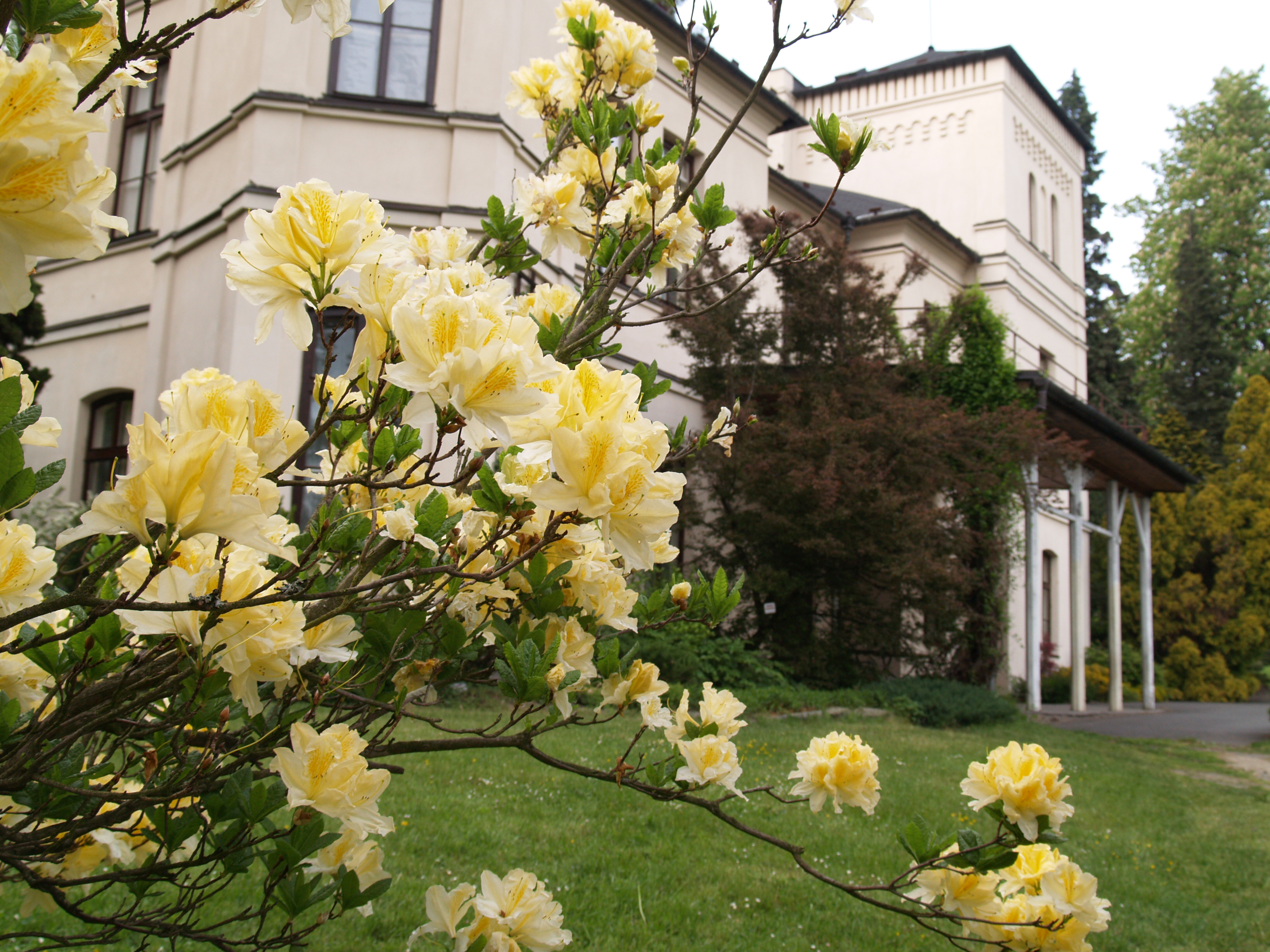 Arboretum Nový Dvůr foto 5