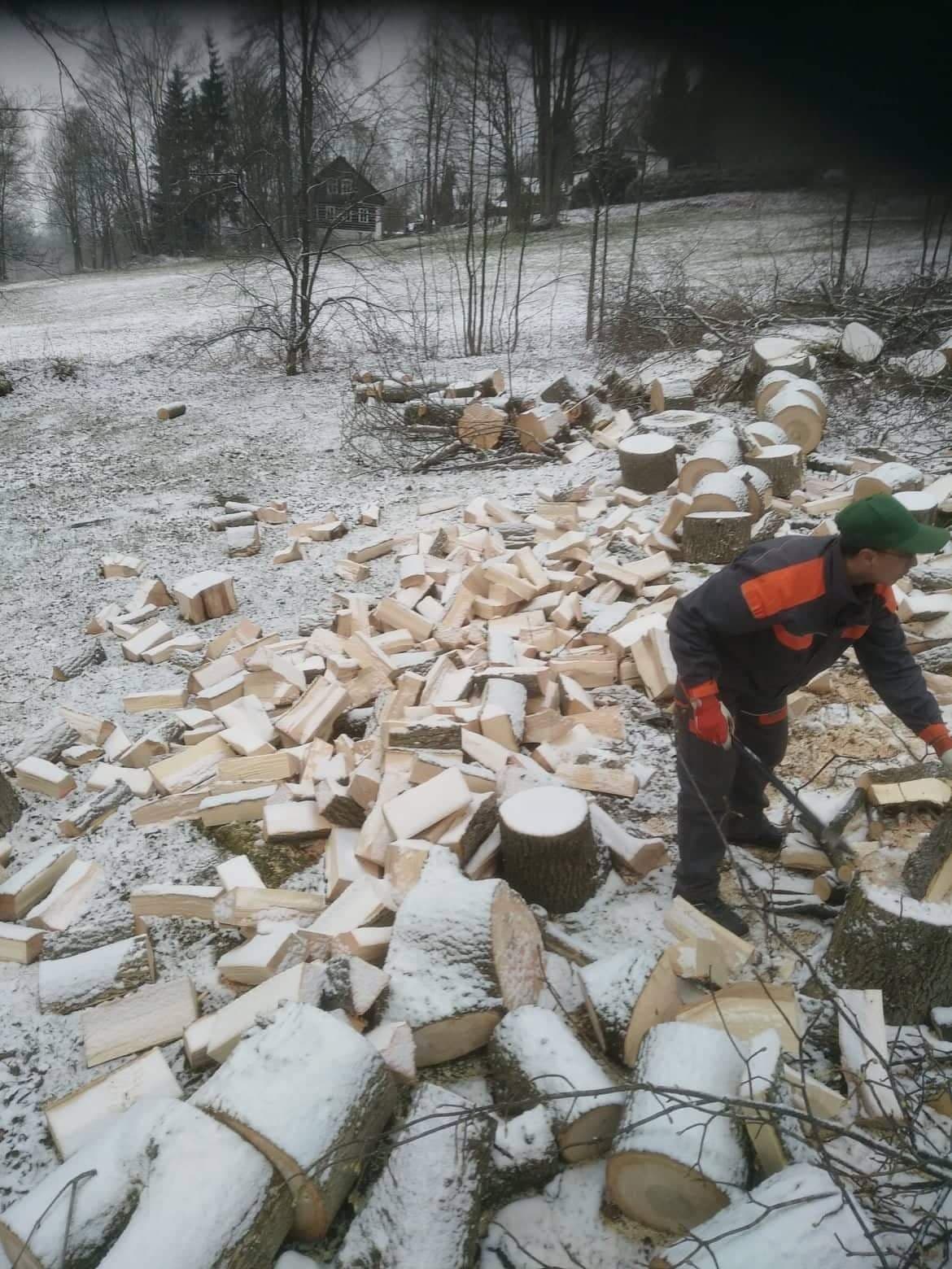 Rizikové kácení stromů Miroslav Hanuš foto 5
