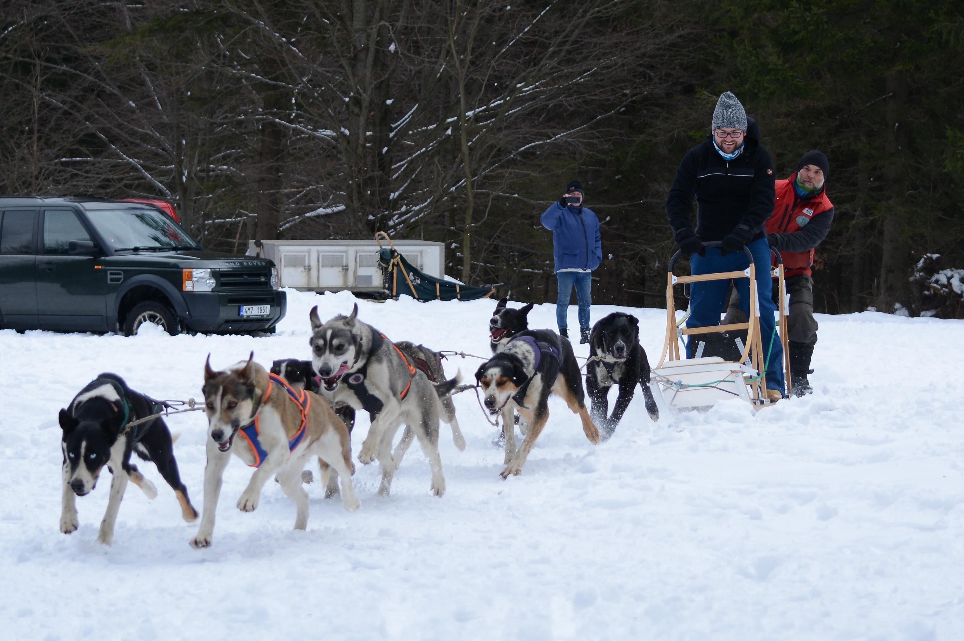 Dan Navrátil - Psí spřežení