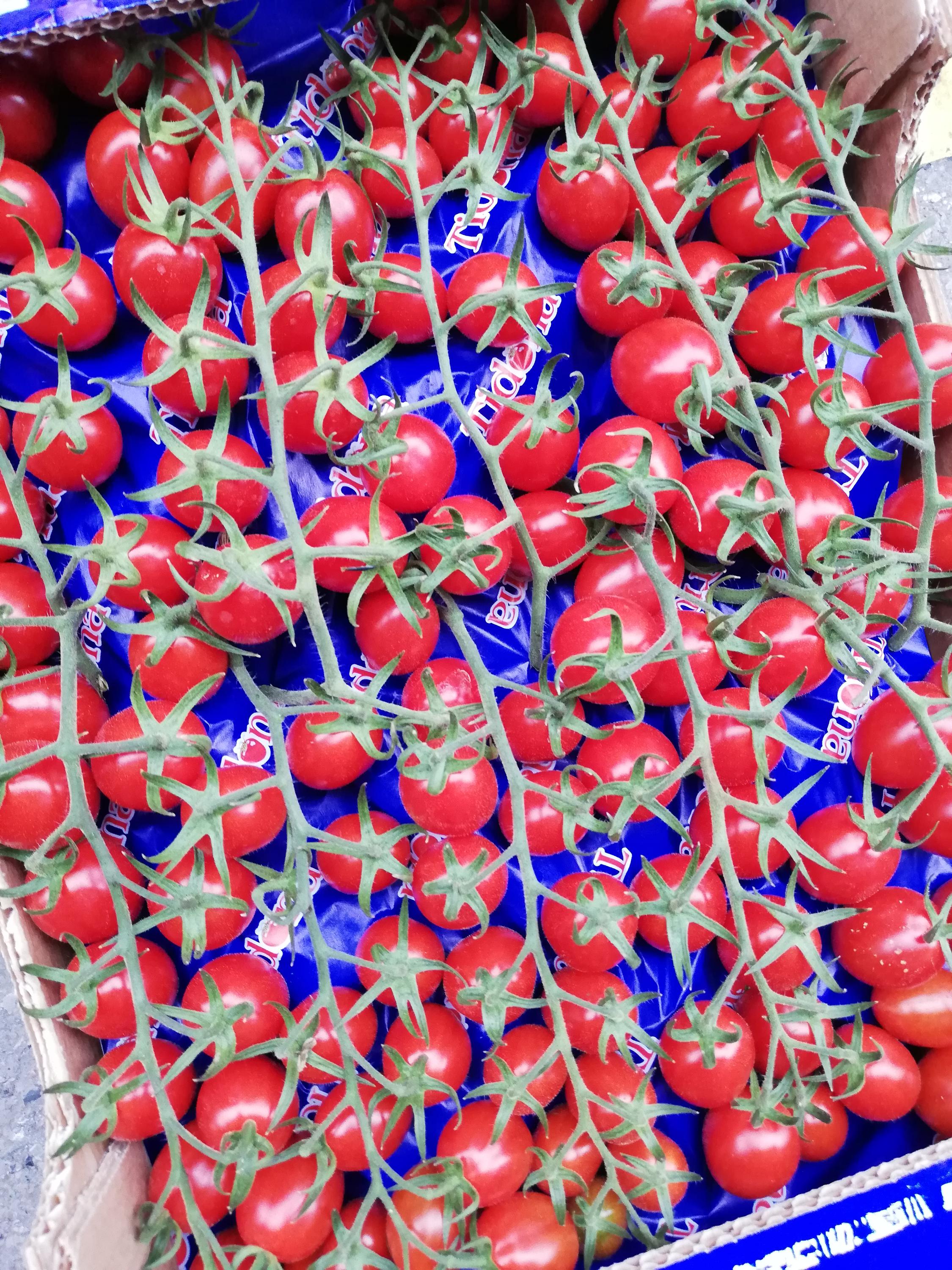 italska-domacnost.cz foto 5