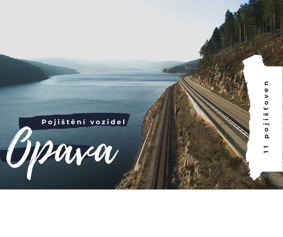 ODBORNÉ SLUŽBY OPAVA foto 2 (náhled videa)