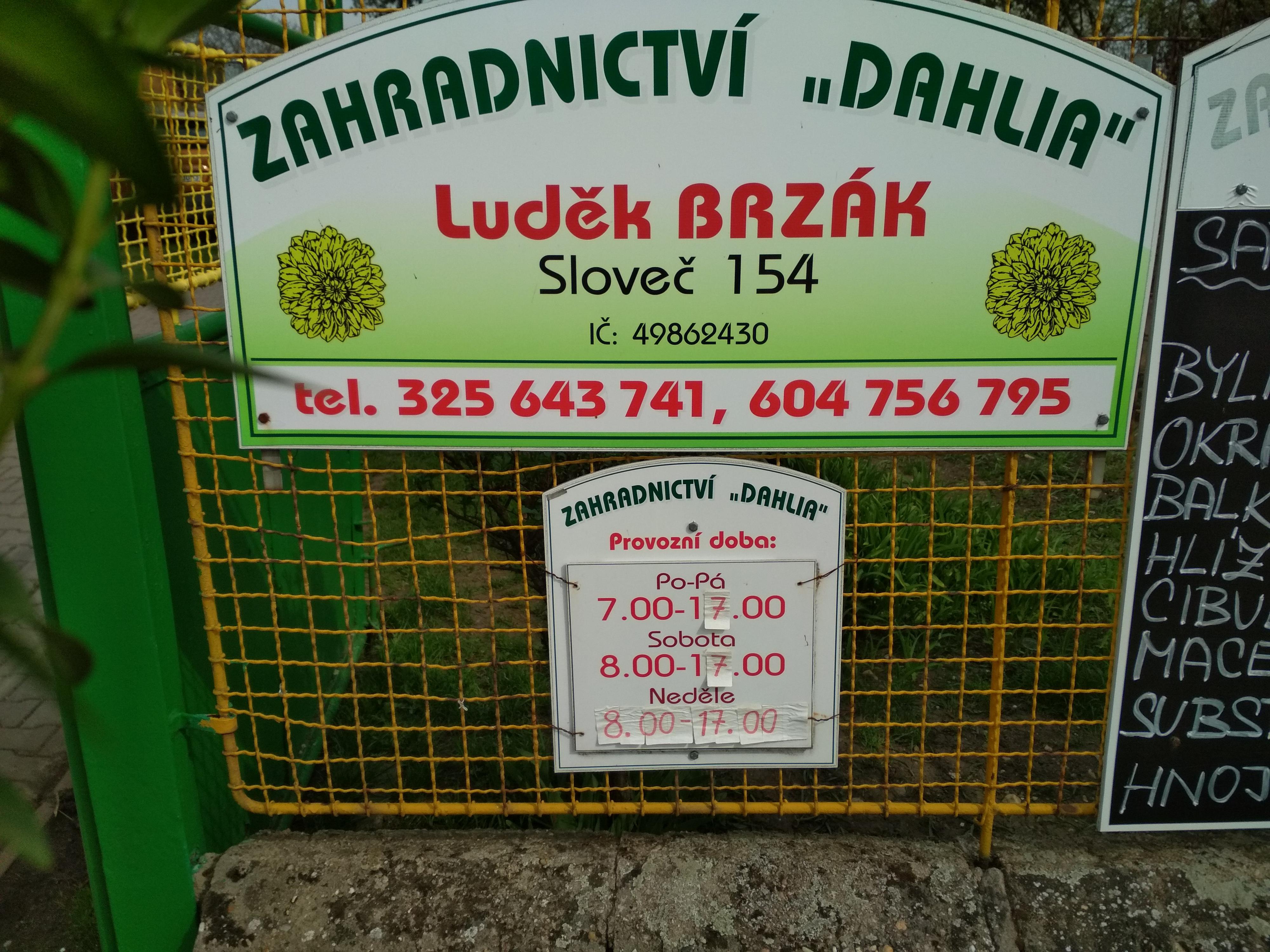 Zahradnictví Dahlia Luděk Brzák foto 2