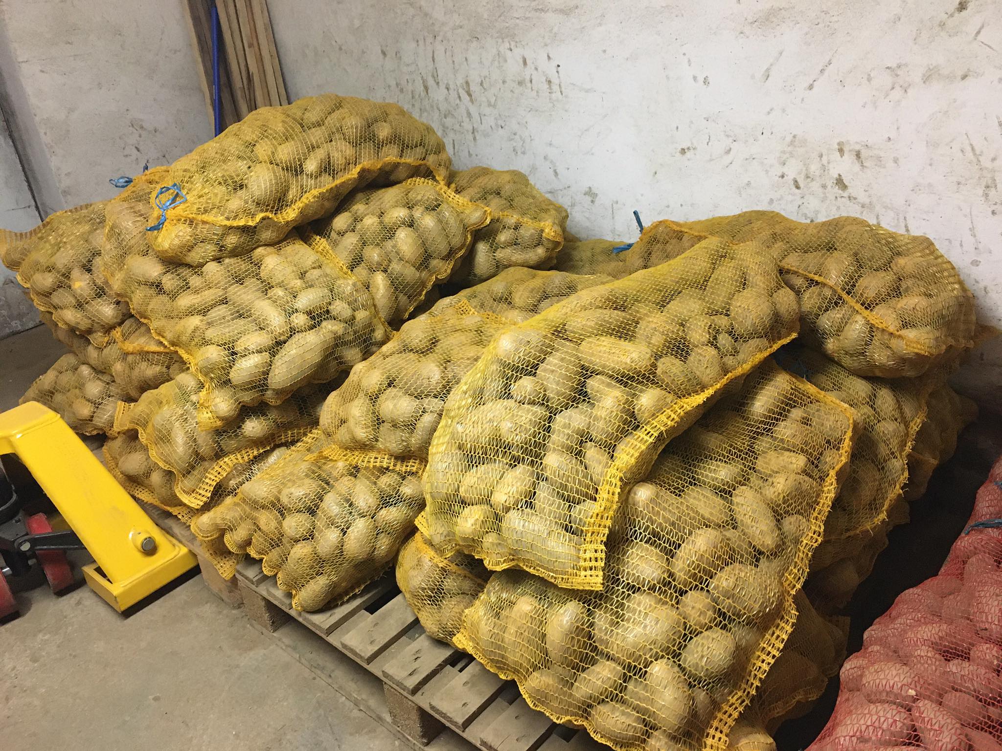 České Ovoce a Zelenina Lorenc foto 4