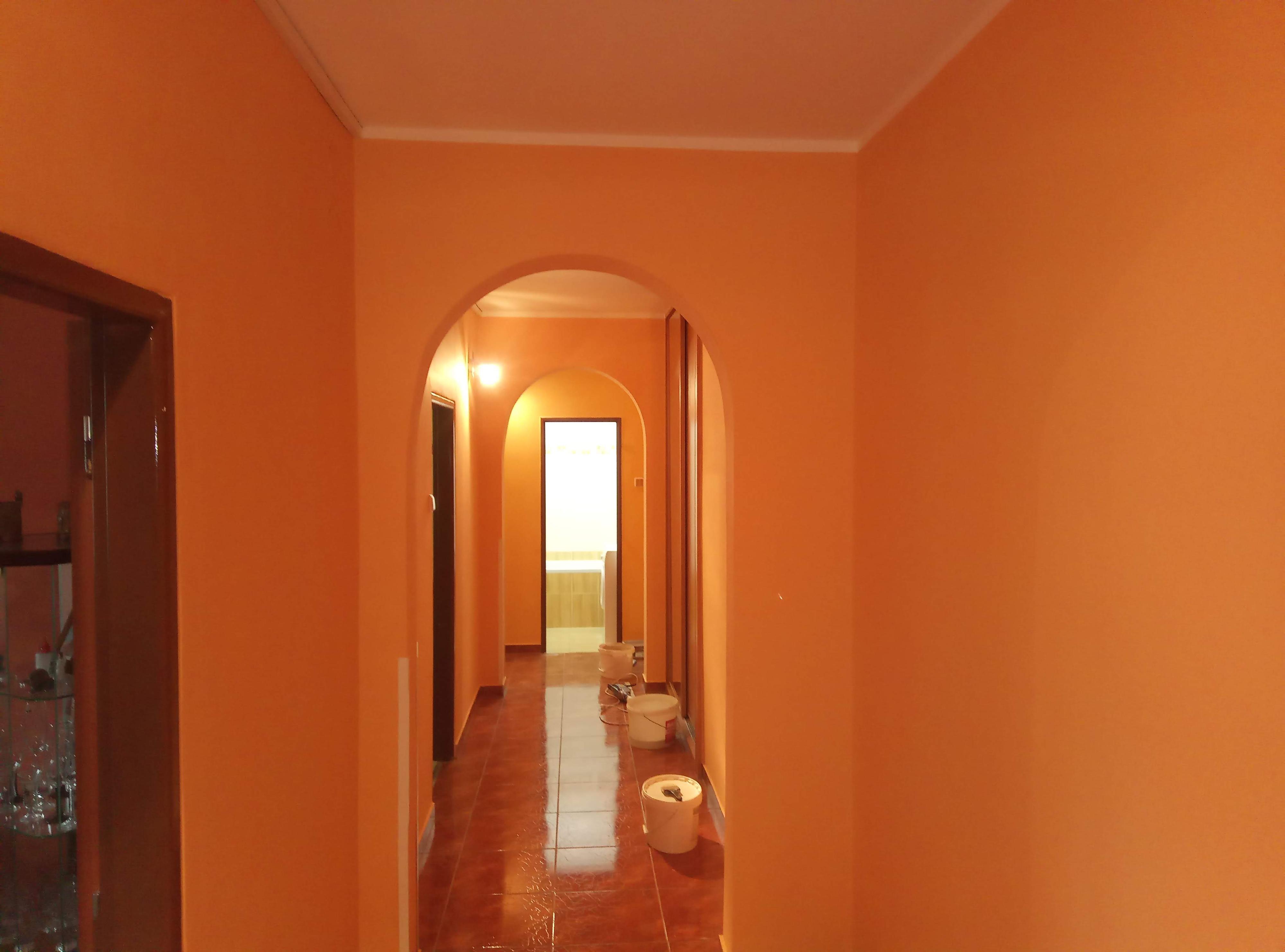 Firma MIZ - malířství natěračství foto 3