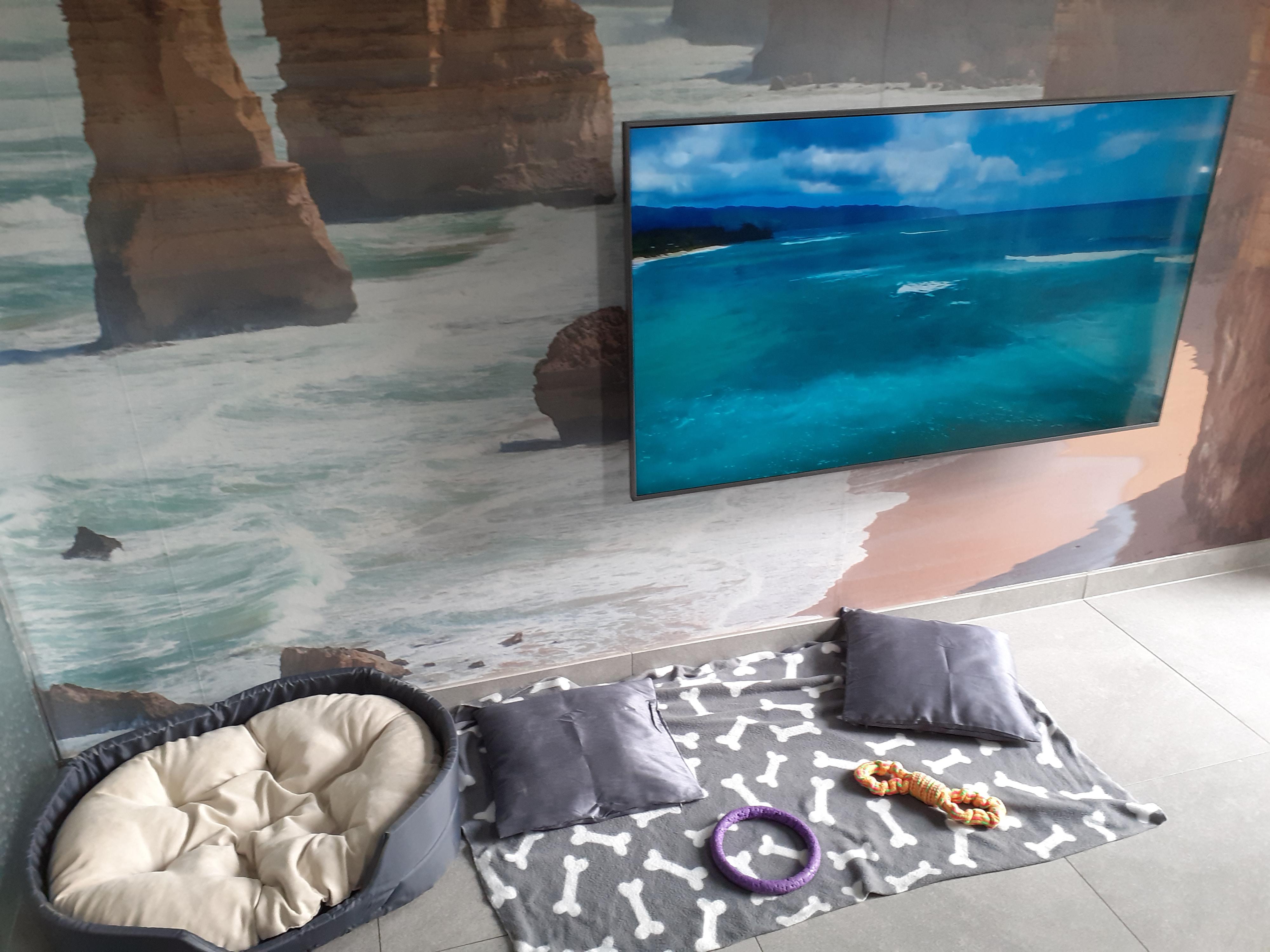 Penzion pro psy Lucky - ubytování pro psy, psí hotel foto 6