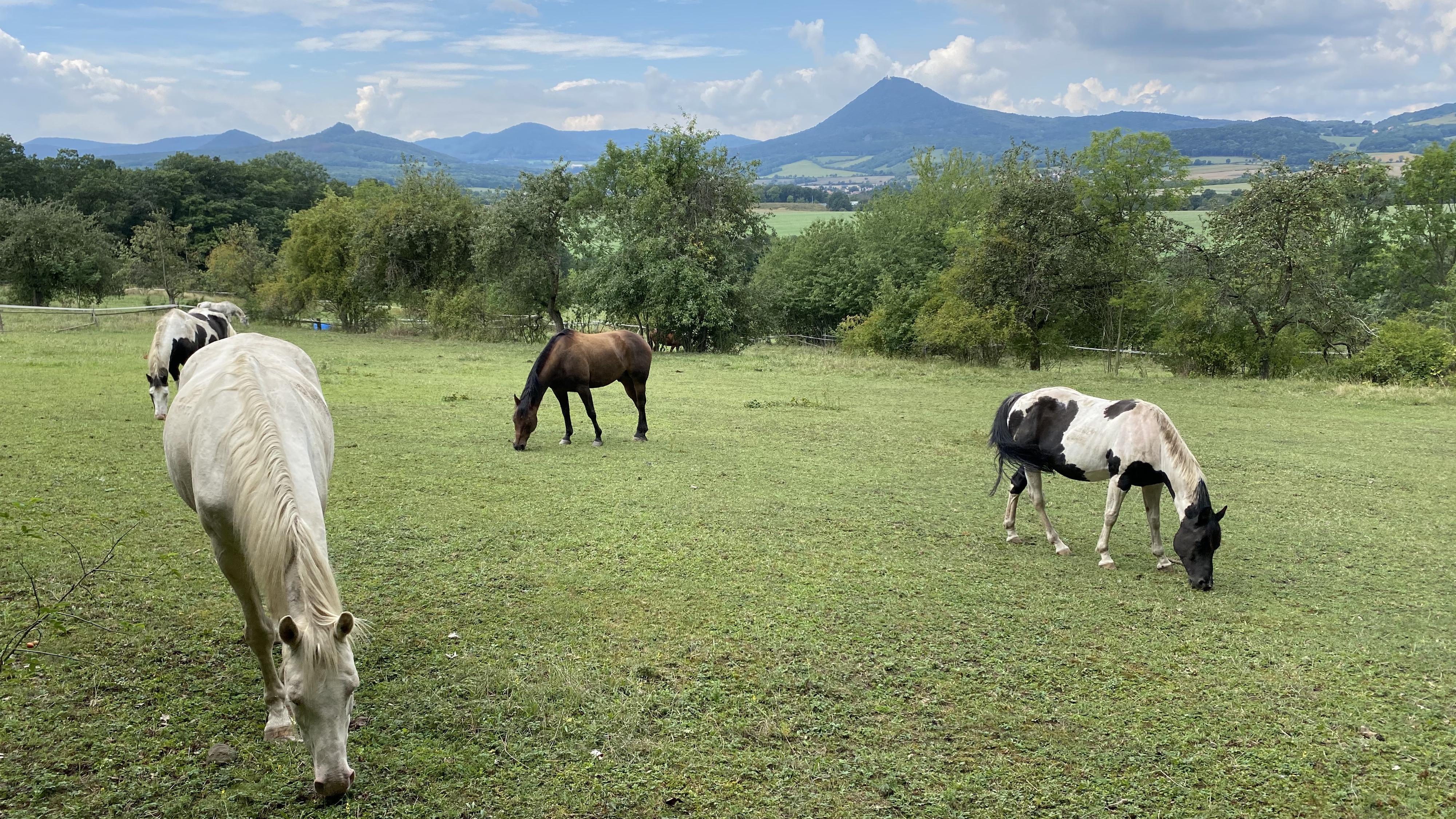 Ranč pod Lovošem, s.r.o.
