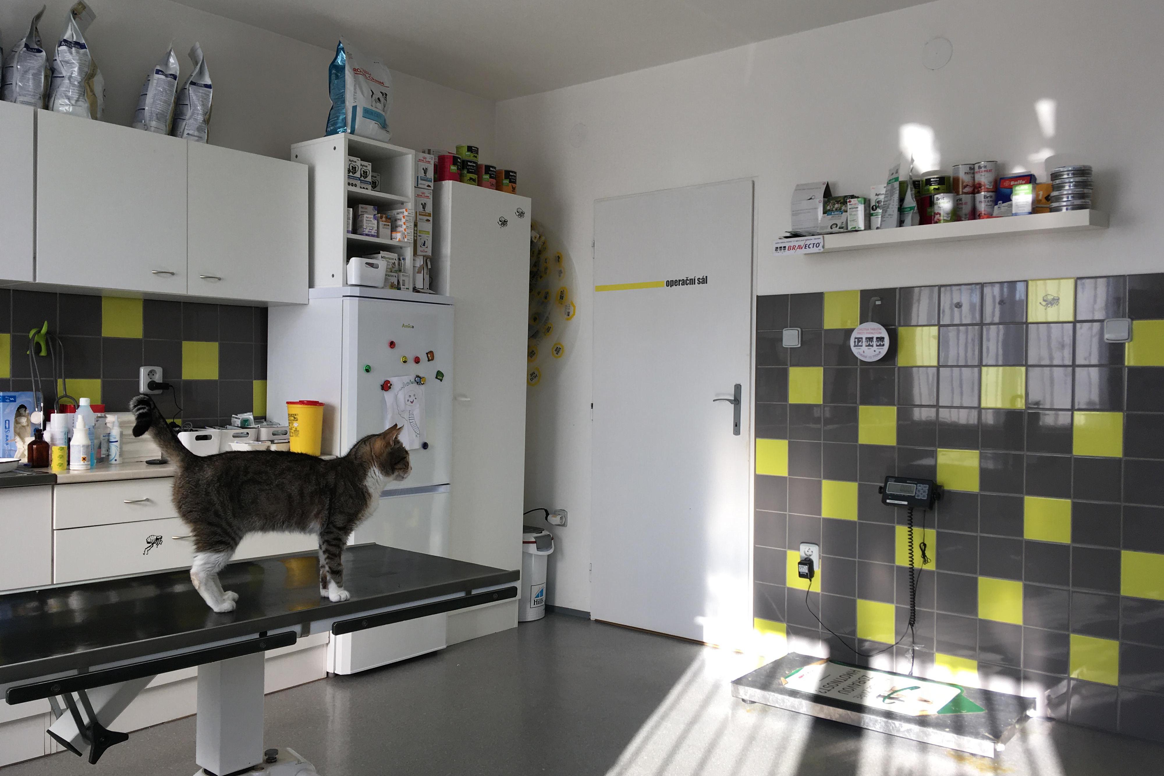 Veterina Újezdec s.r.o