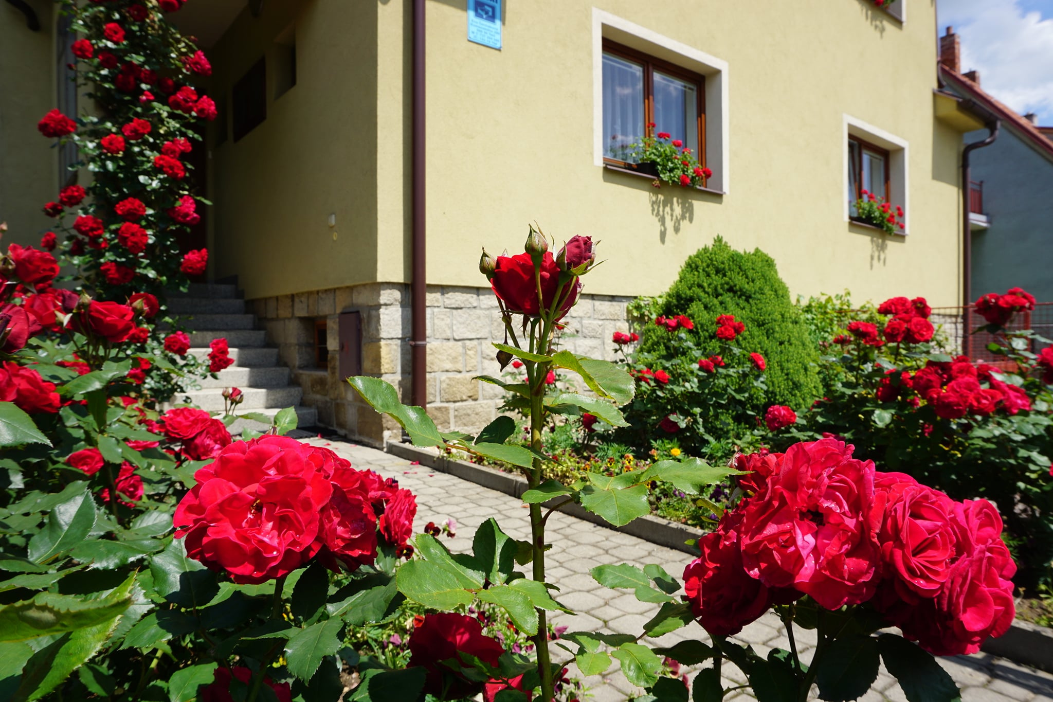 Apartmán Čermáková foto 4