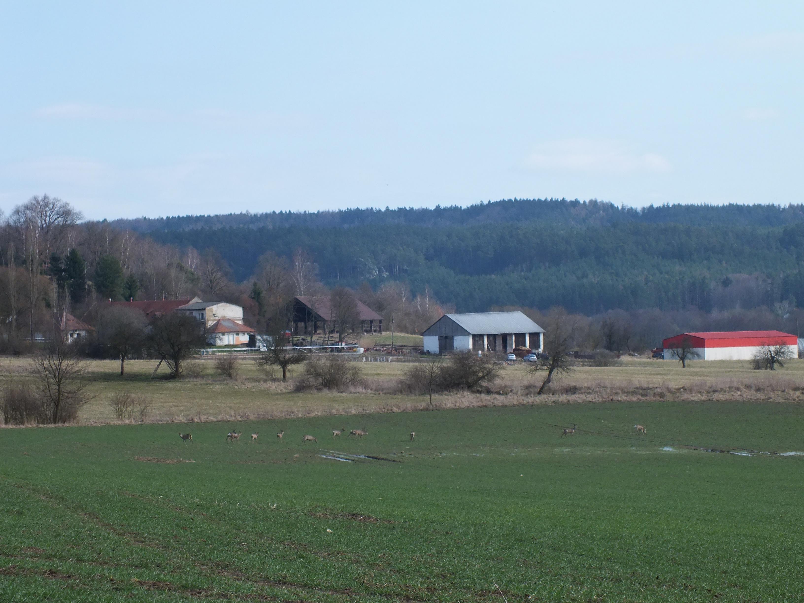 DVŮR BORČICE foto 5